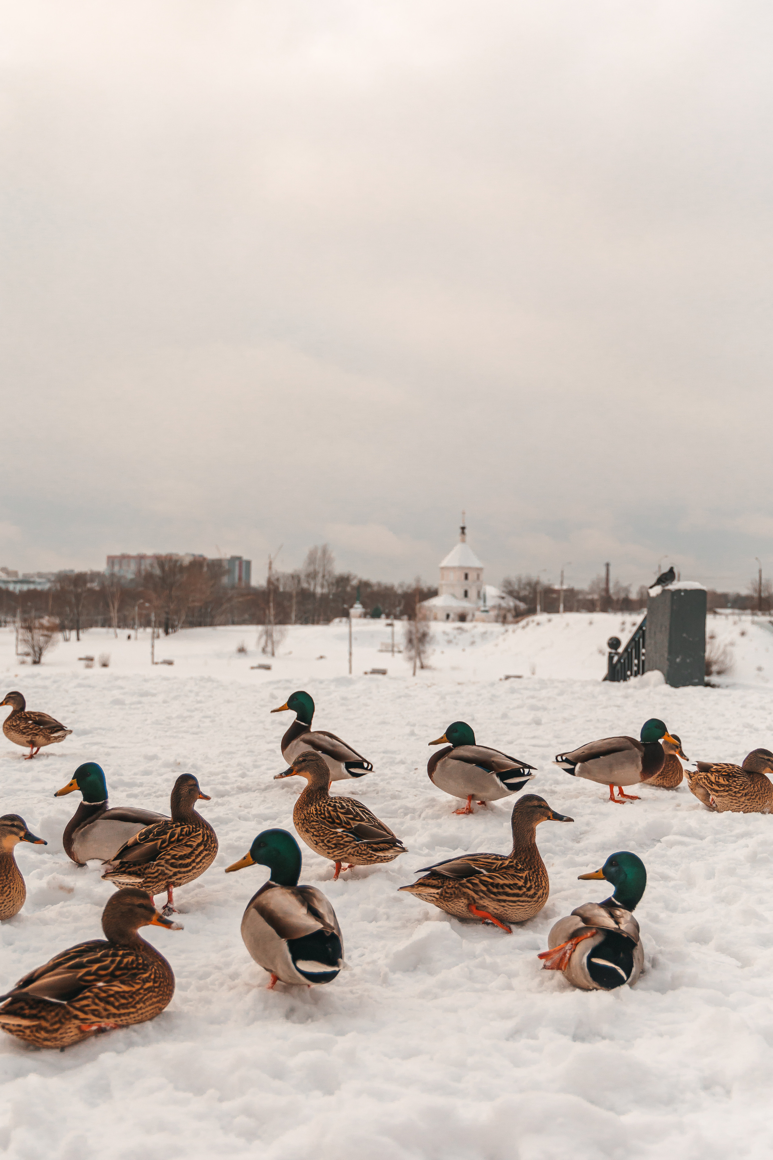 27.12.22.Тверь. Свадебный фотограф в Хабаровске
