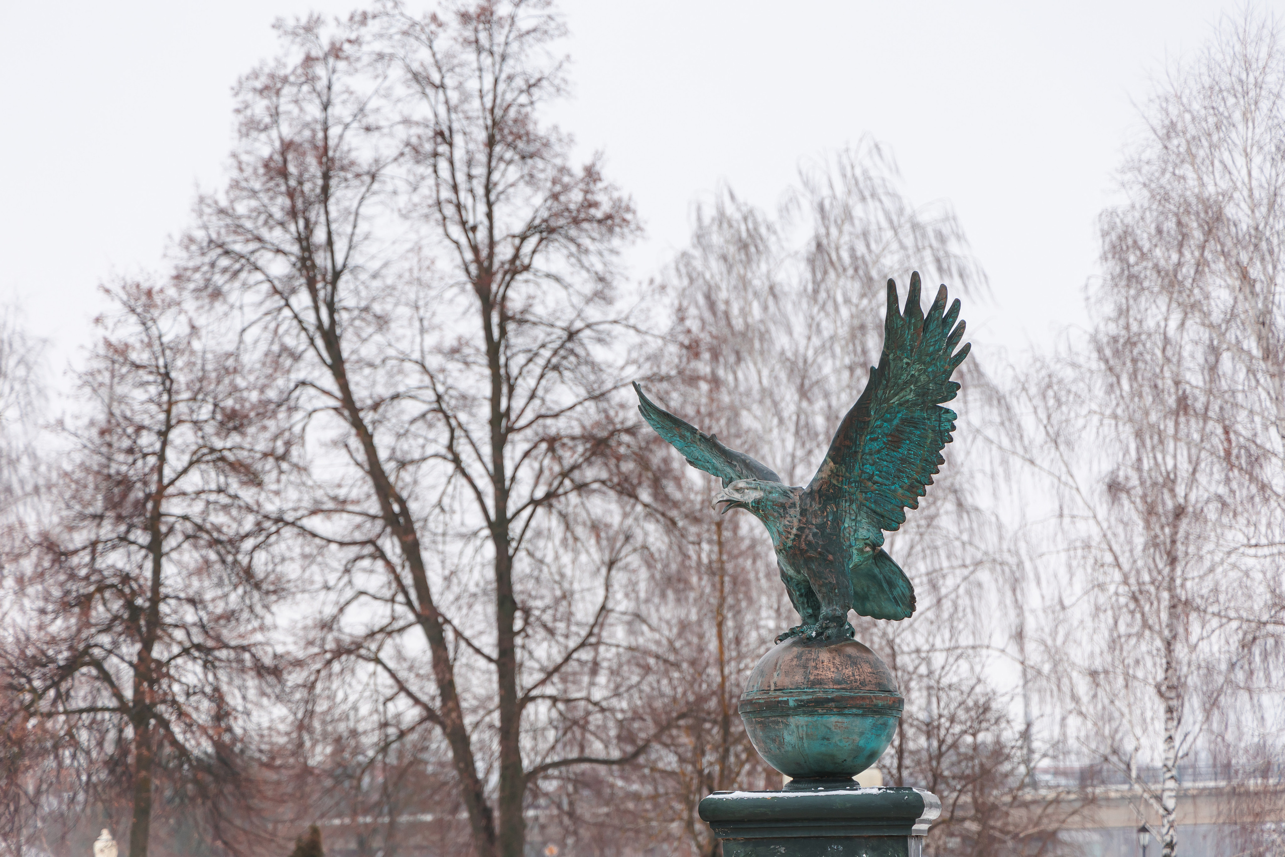 21.12.22.Орел. Свадебный фотограф в Хабаровске