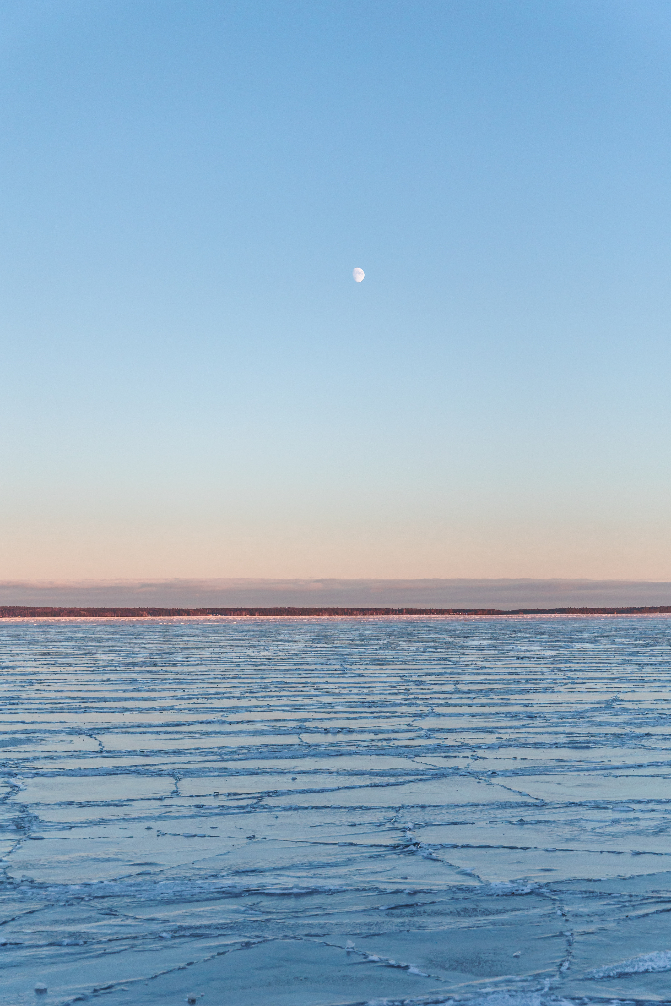 2.1.23.Петрозаводск. Свадебный фотограф в Хабаровске