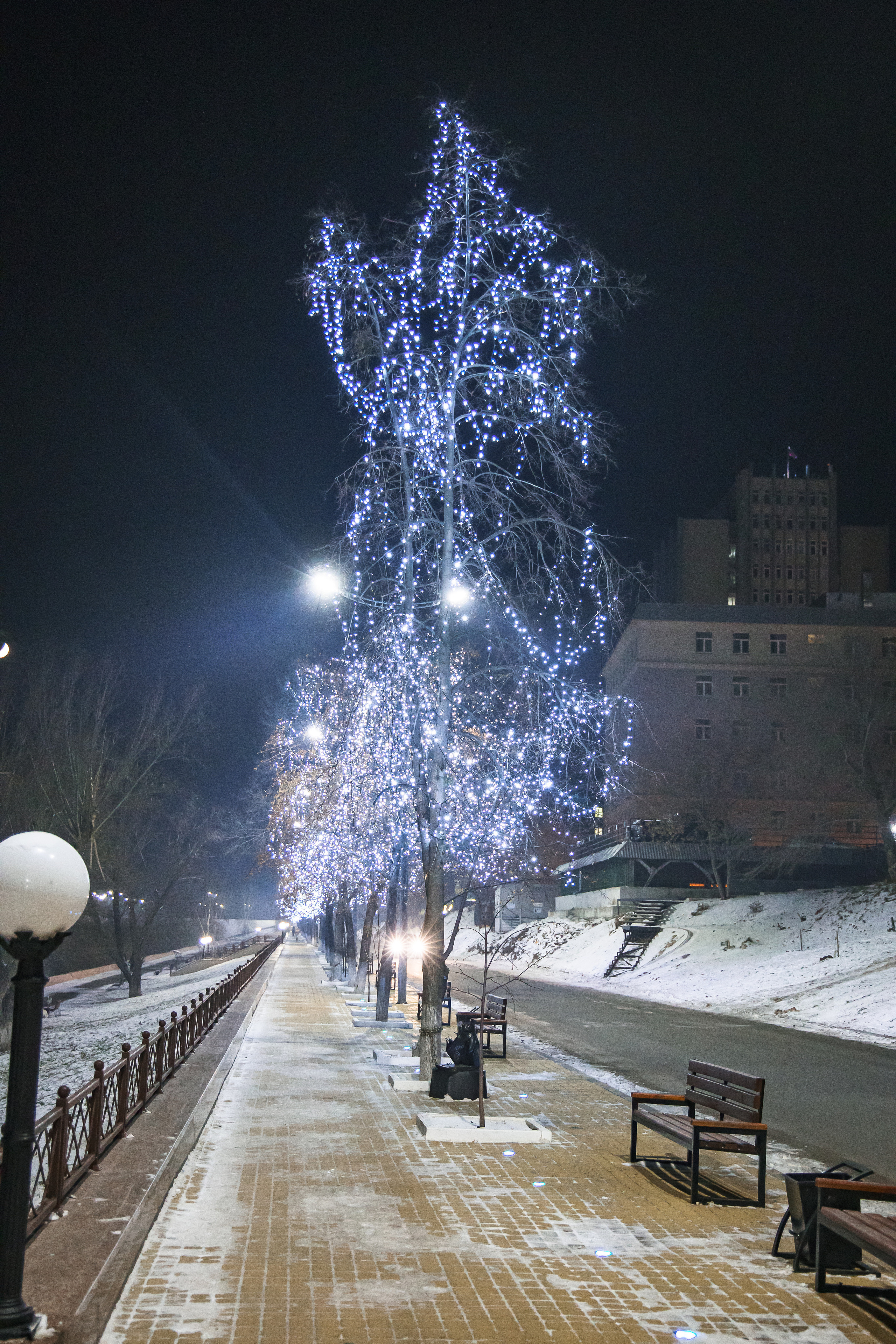 29.11.22.Курган. Свадебный фотограф в Хабаровске