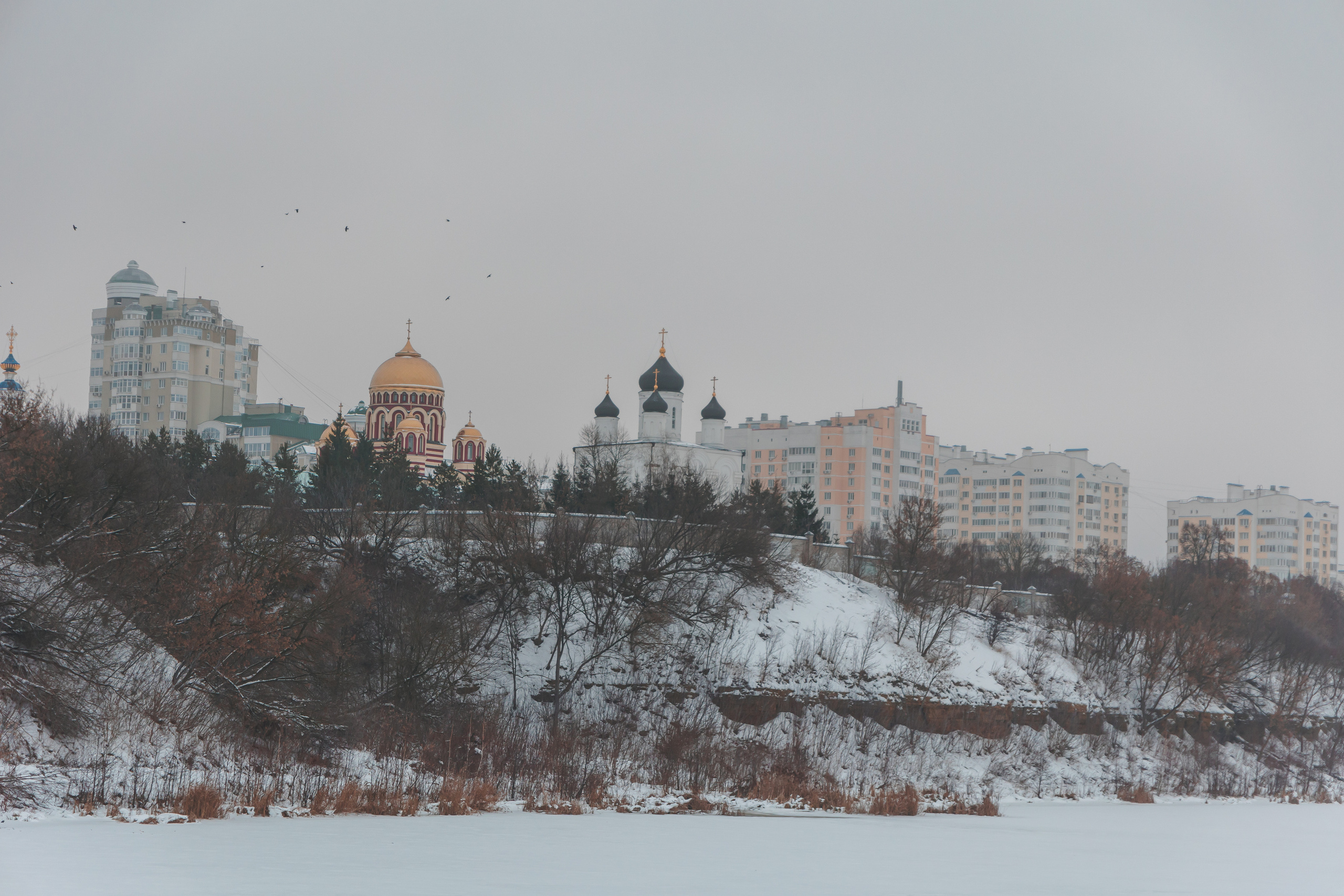 21.12.22.Орел. Свадебный фотограф в Хабаровске