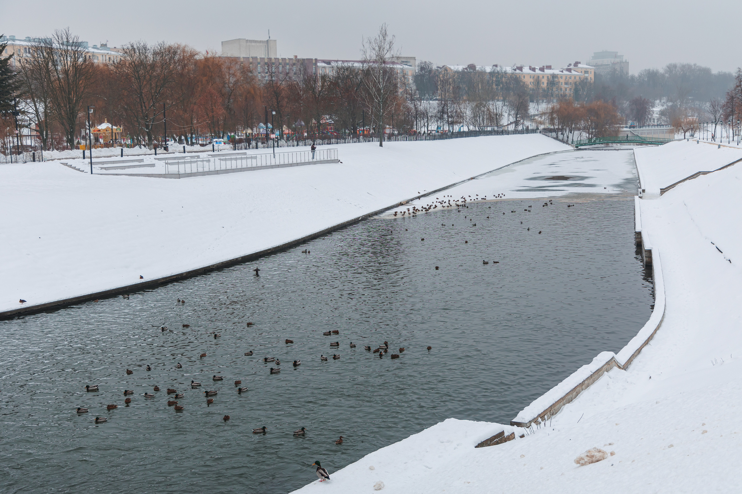 21.12.22.Орел. Свадебный фотограф в Хабаровске