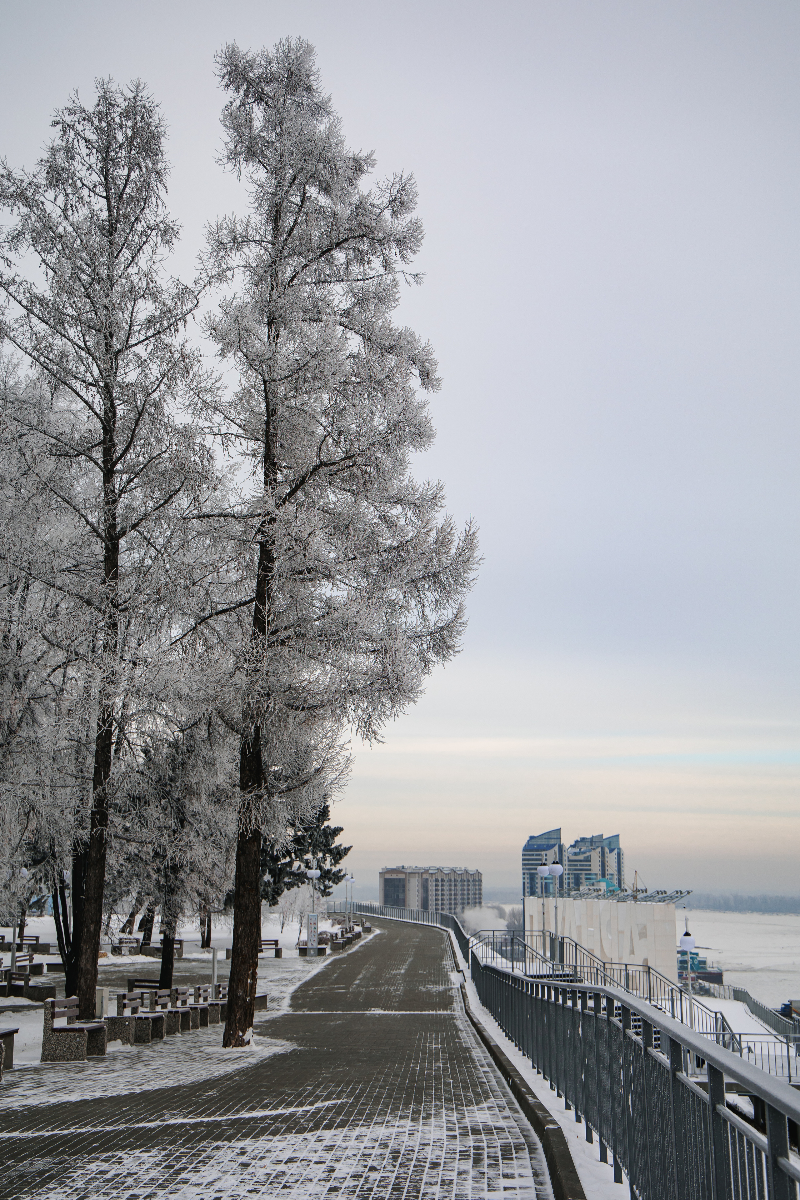 25.11.22.Барнаул. Свадебный фотограф в Хабаровске