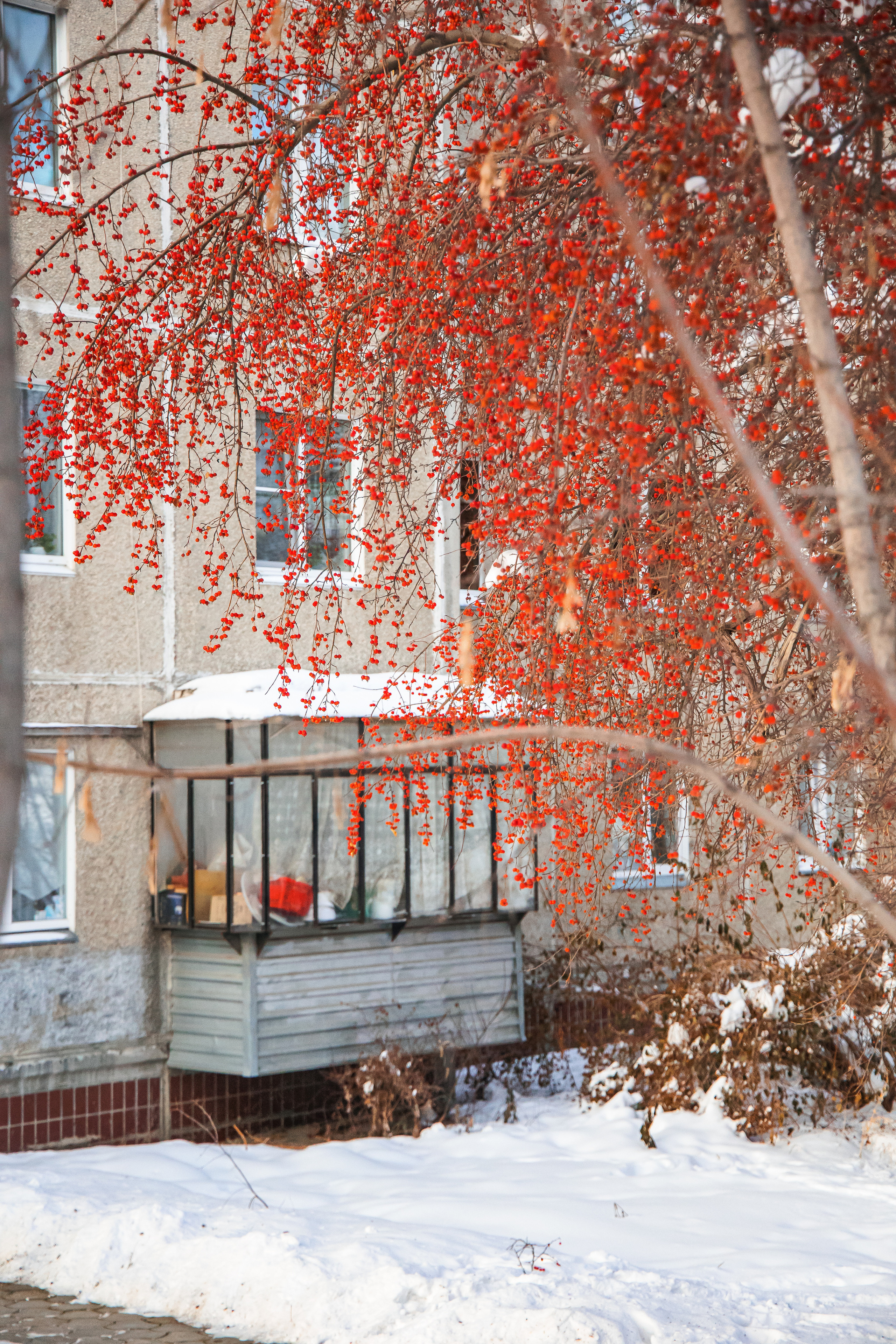 30.11.22.Миасс. Свадебный фотограф в Хабаровске