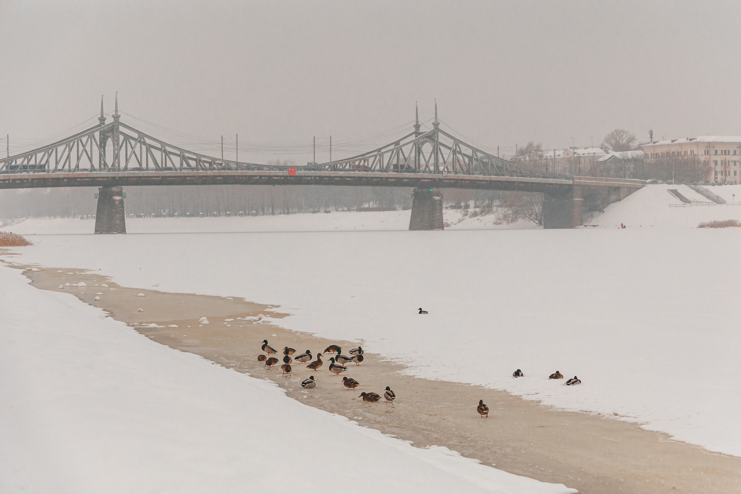 27.12.22.Тверь. Свадебный фотограф в Хабаровске