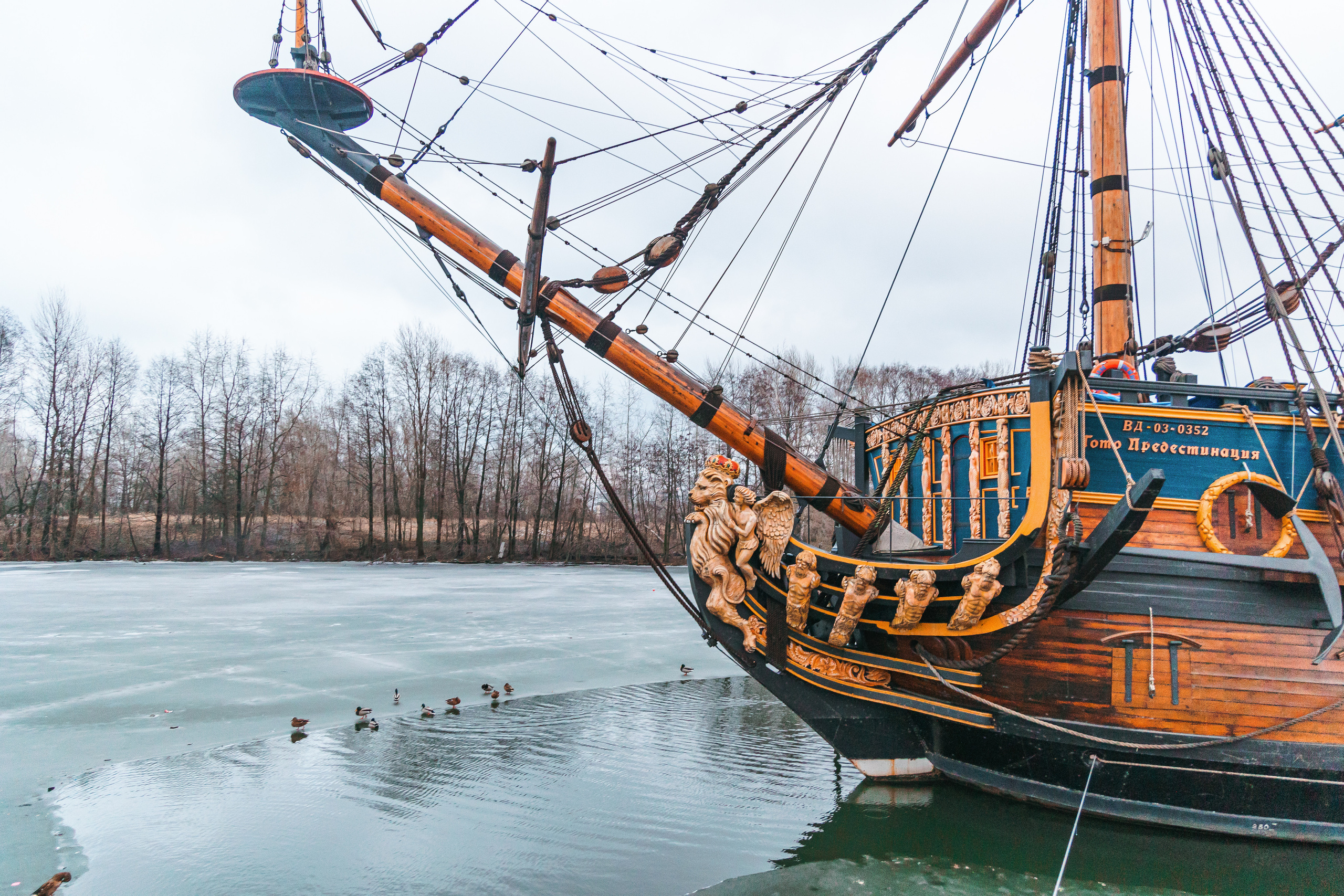 18.12.22.Воронеж. Свадебный фотограф в Хабаровске