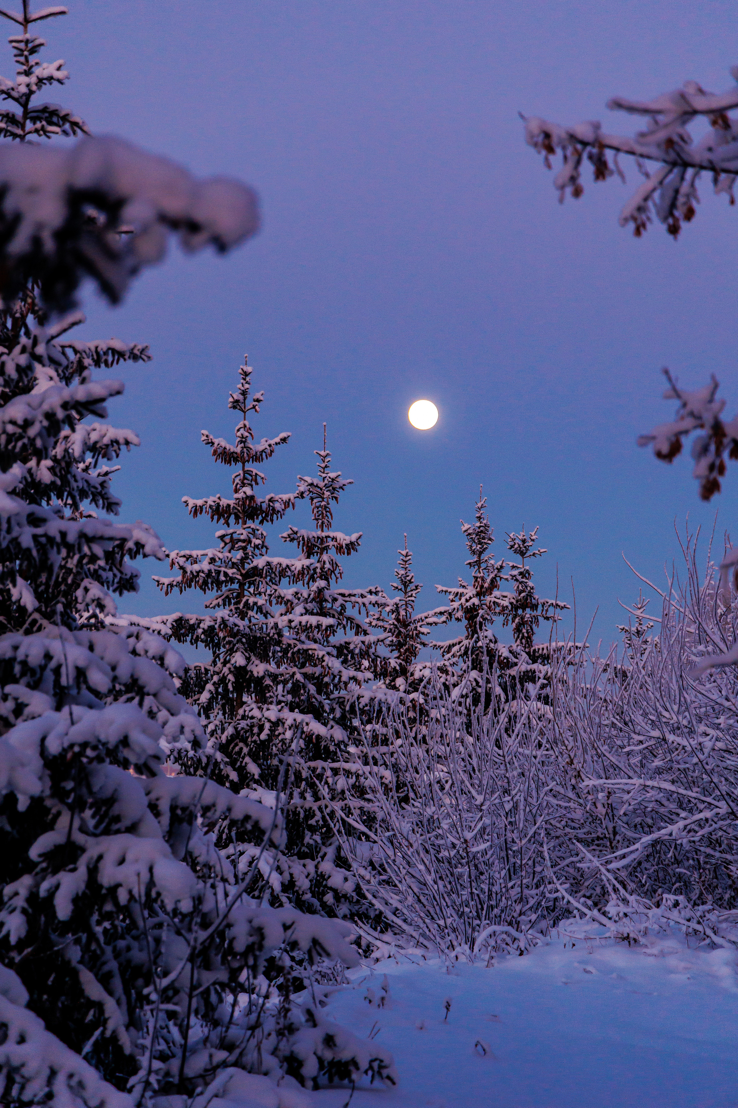 7.12.22.Уфа. Свадебный фотограф в Хабаровске