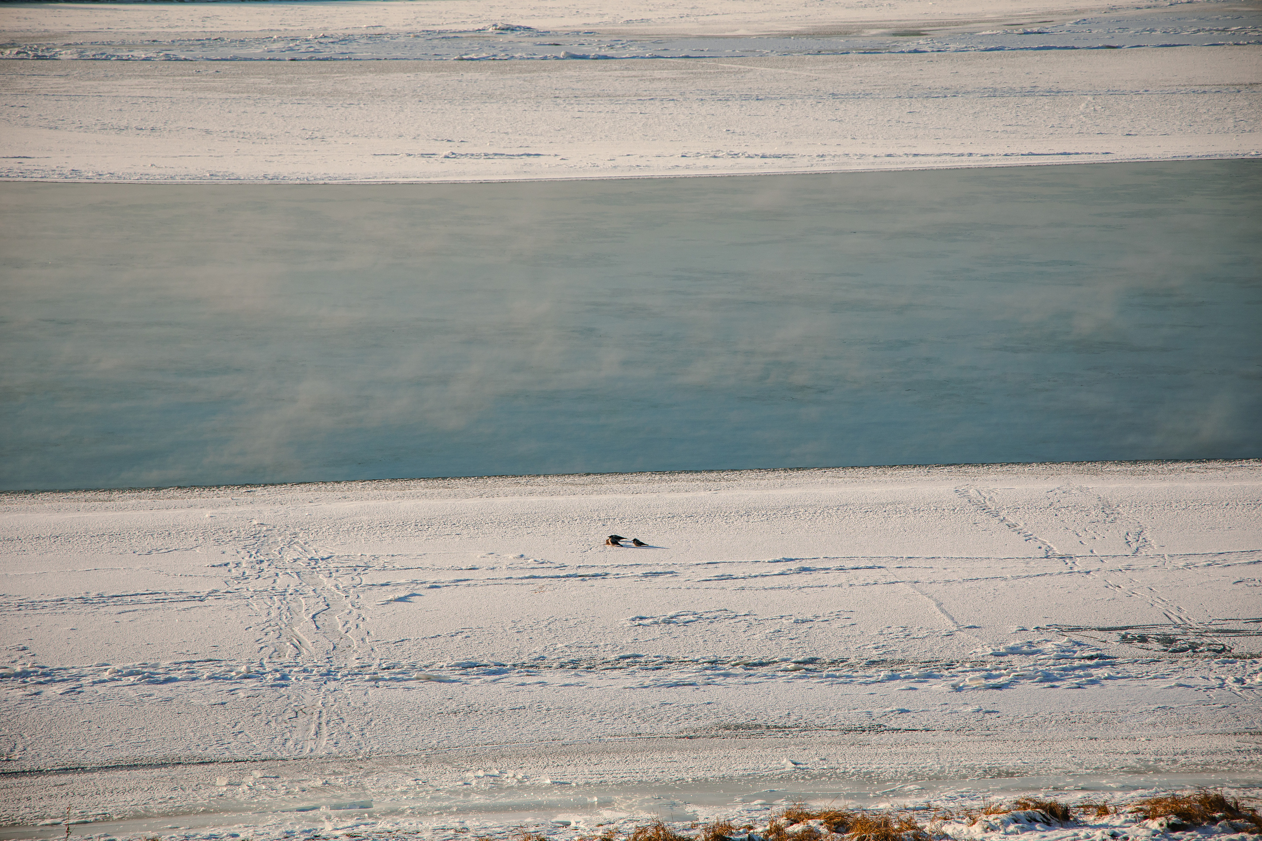 27.11.22.Омск. Свадебный фотограф в Хабаровске