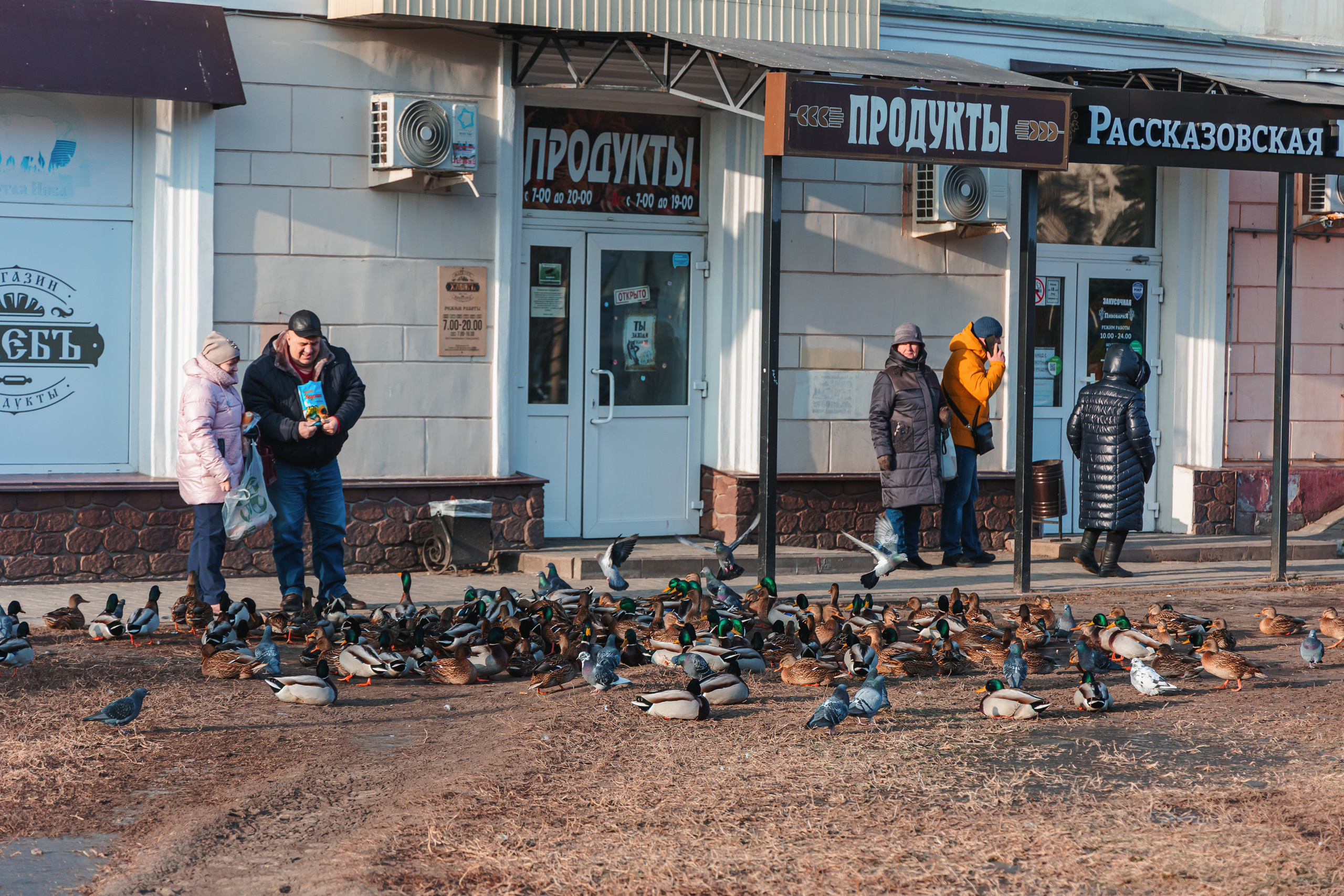 19.12.Тамбов. Свадебный фотограф в Хабаровске