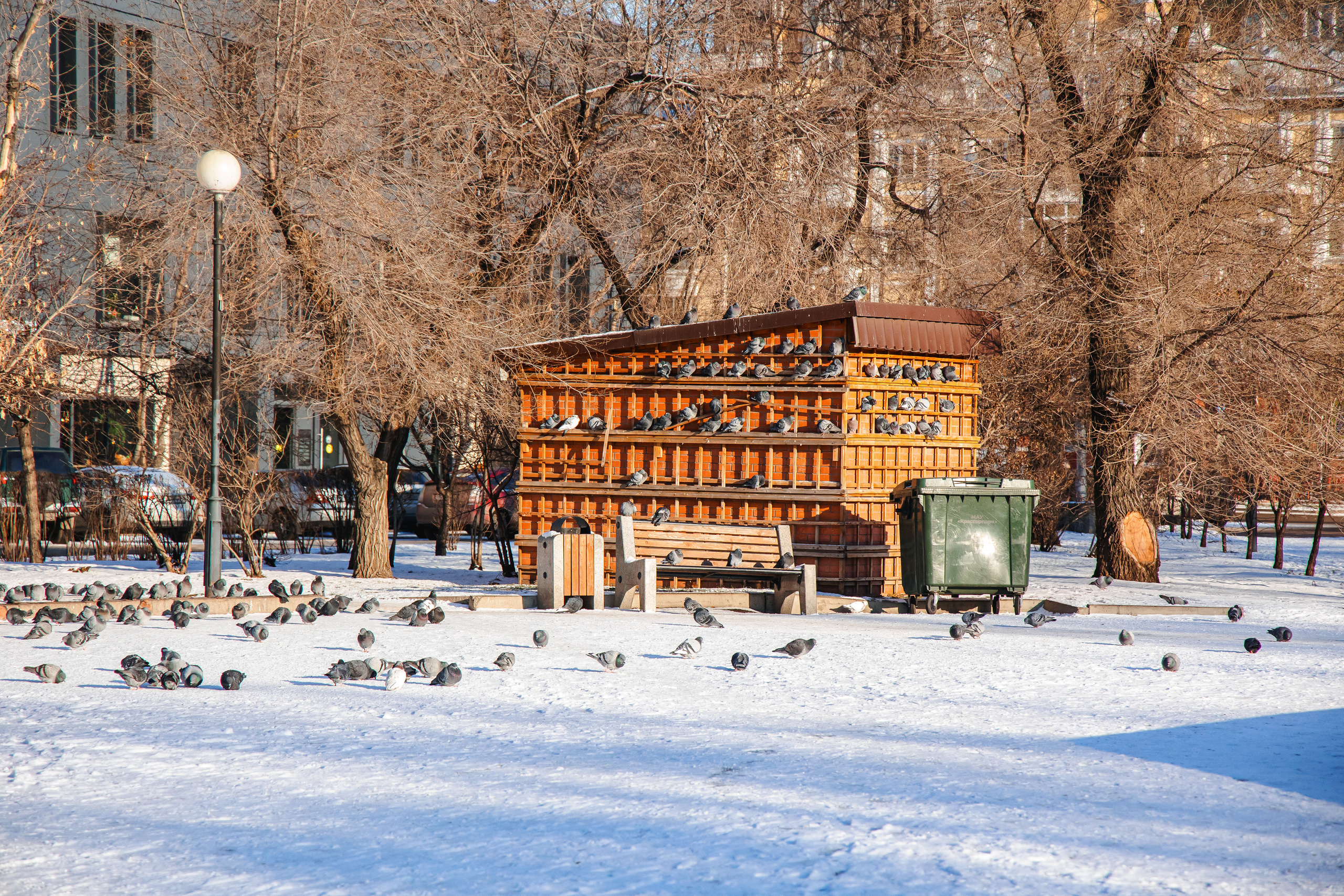 19.11.22.Красноярск. Свадебный фотограф в Хабаровске