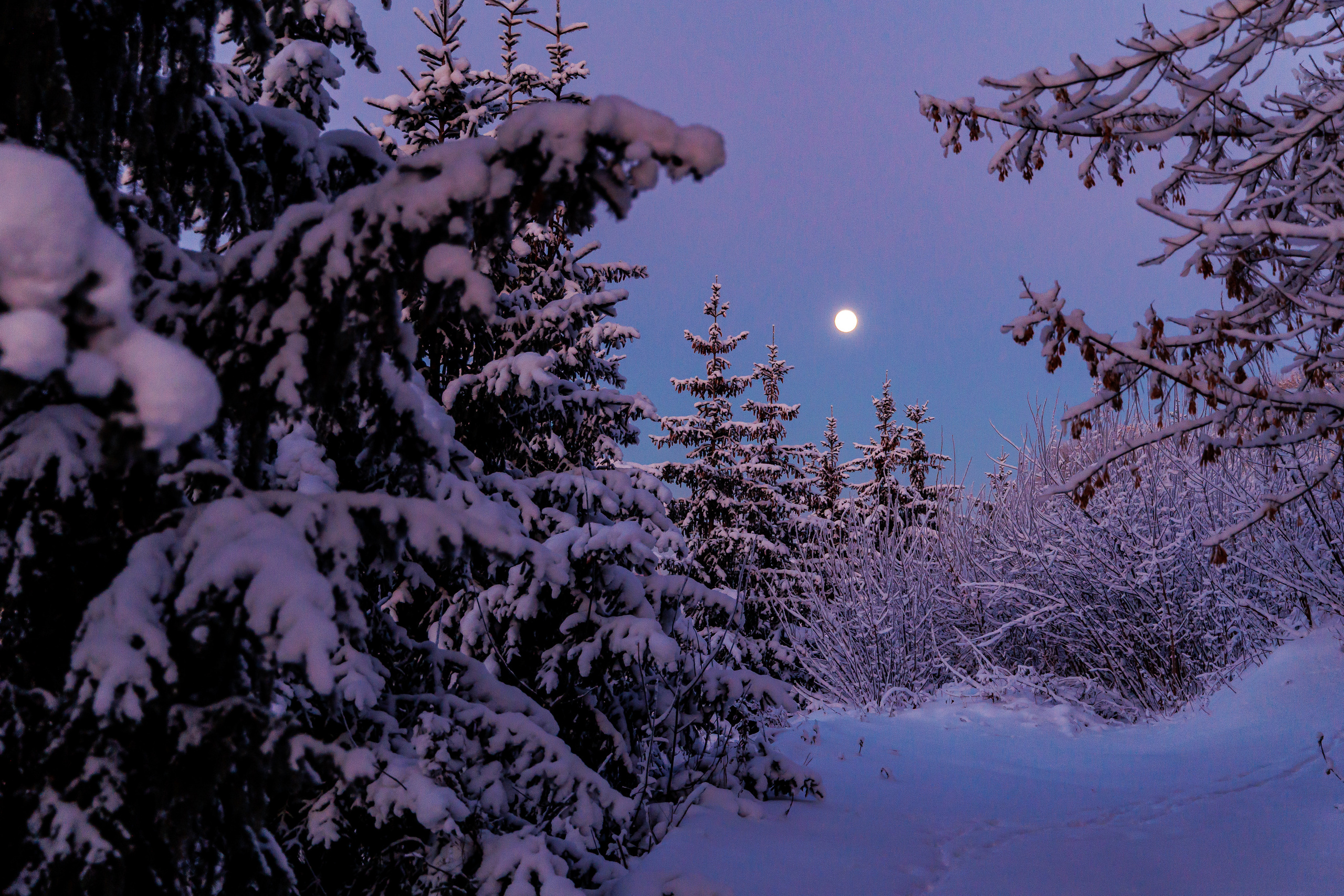 7.12.22.Уфа. Свадебный фотограф в Хабаровске