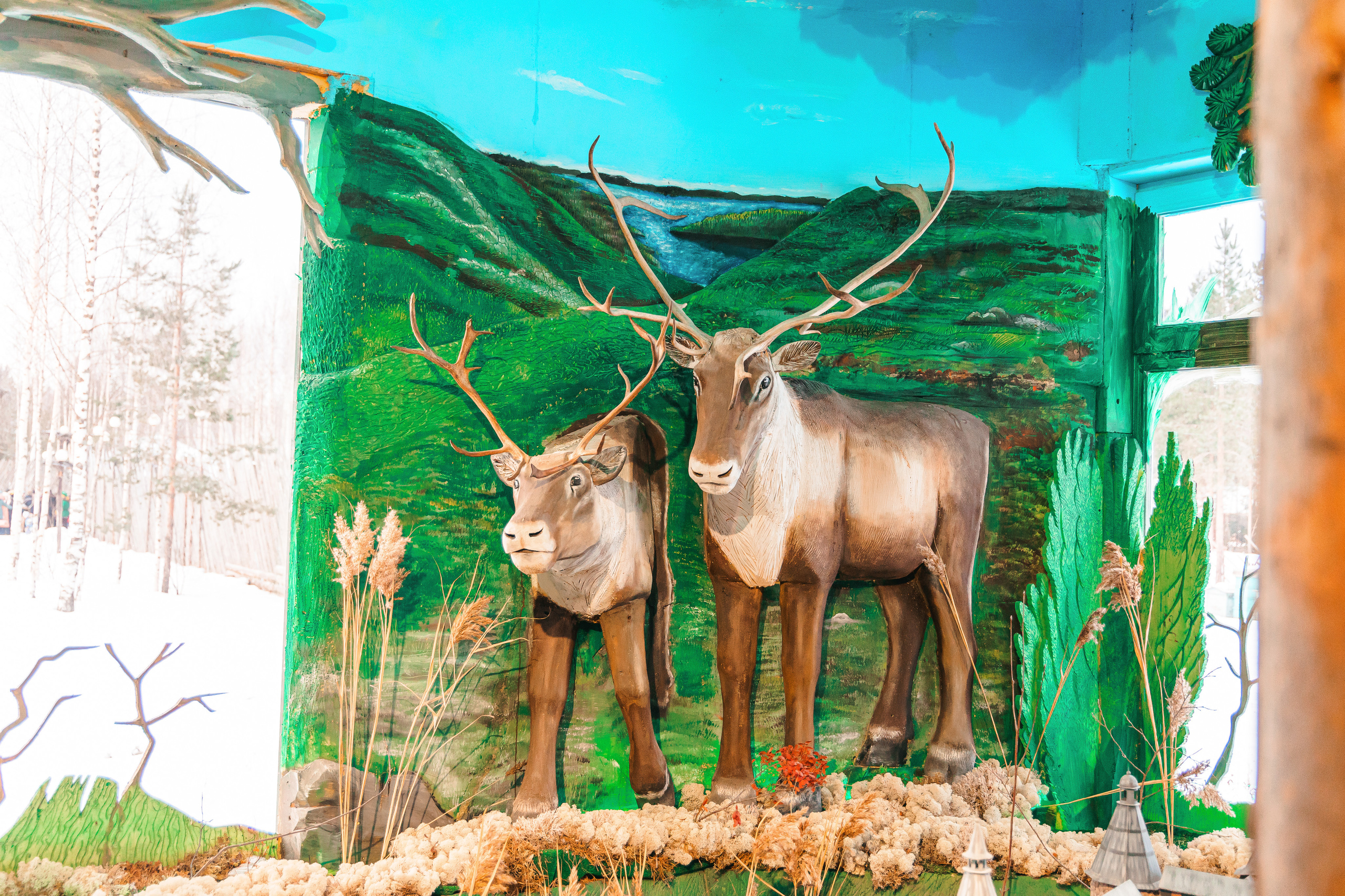 Встреча Деда Мороза и Лапландского Талвиукко.Резиденция Талвиукко. Свадебный фотограф в Хабаровске