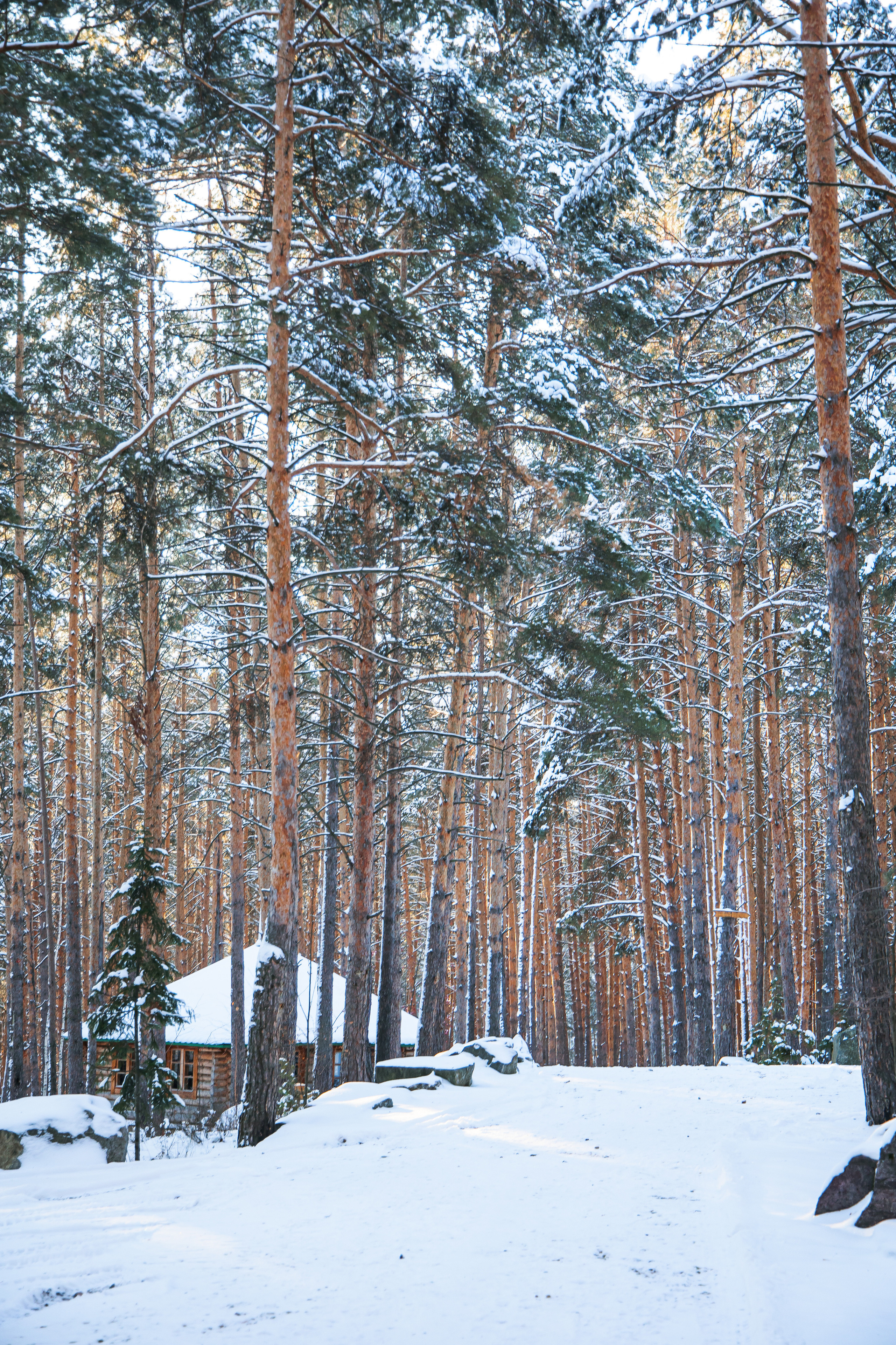 29.11.22.Каменск-Уральский. Свадебный фотограф в Хабаровске