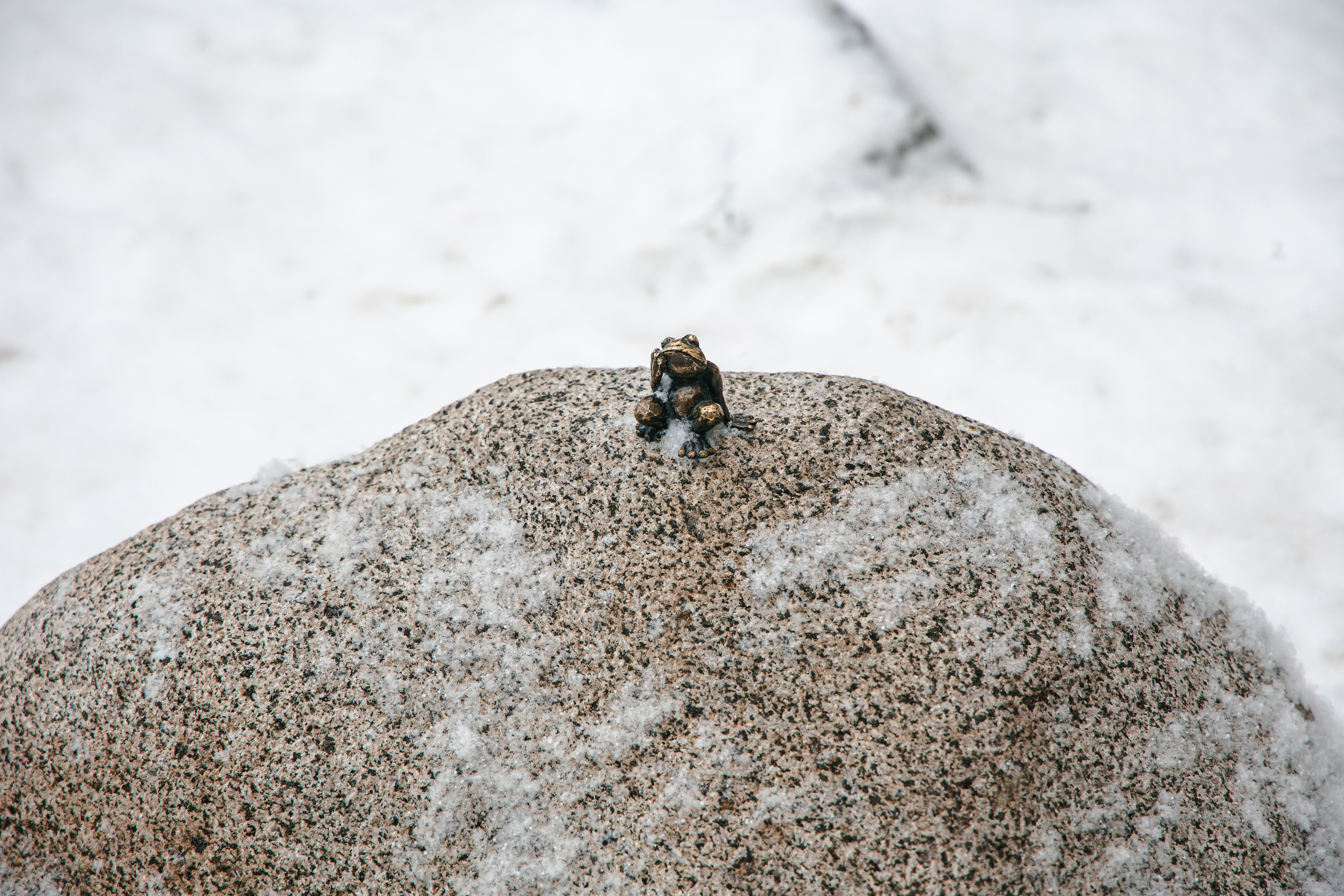 22.11.22.Томск. Свадебный фотограф в Хабаровске