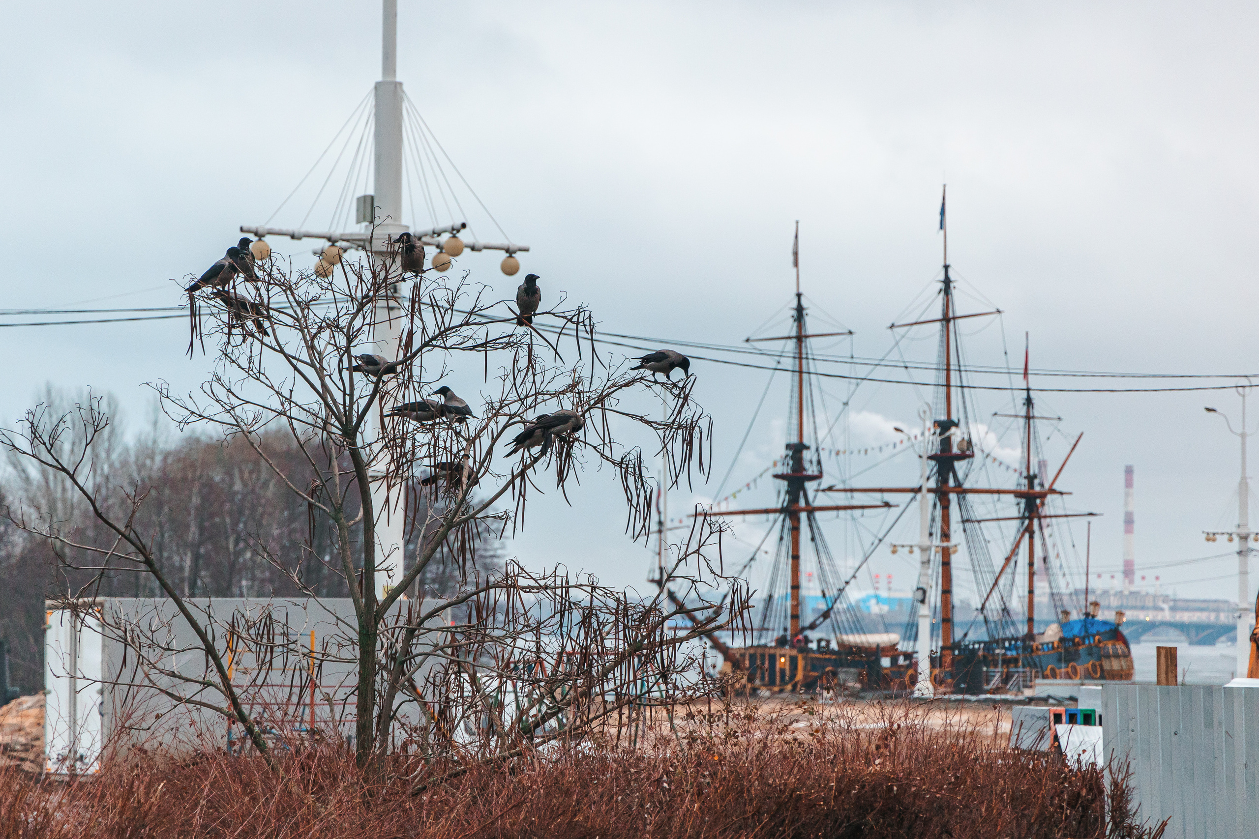 18.12.22.Воронеж. Свадебный фотограф в Хабаровске