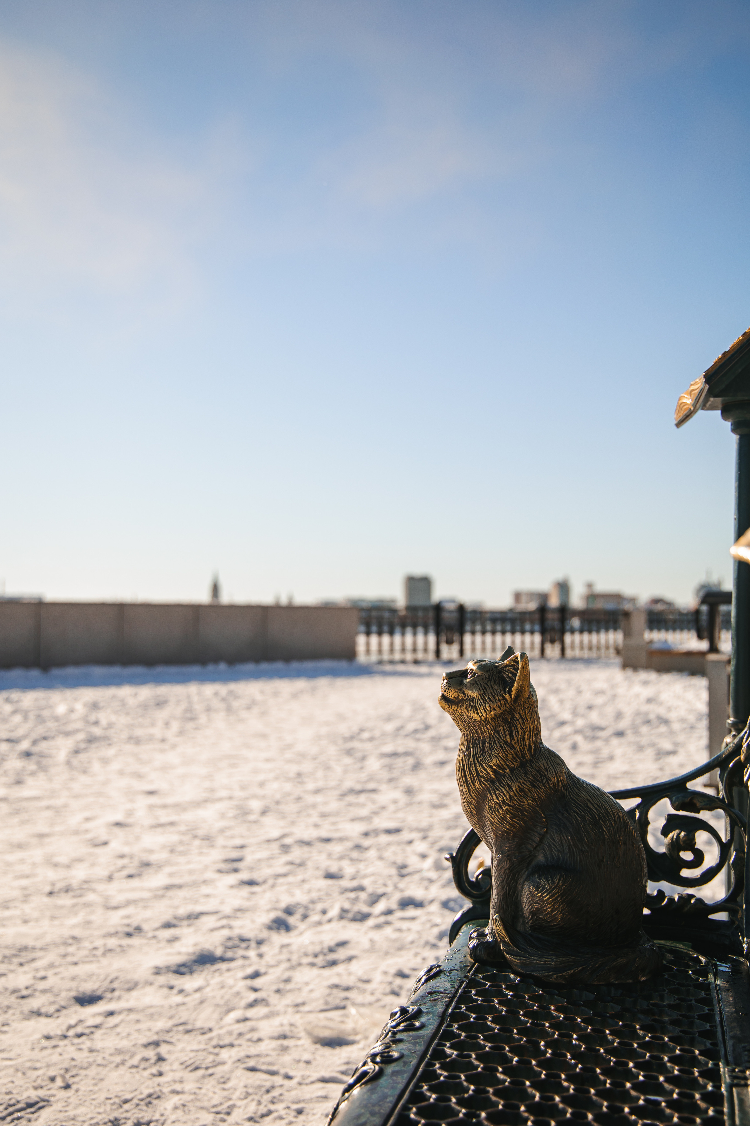 12.11.22.Благовещенск. Свадебный фотограф в Хабаровске
