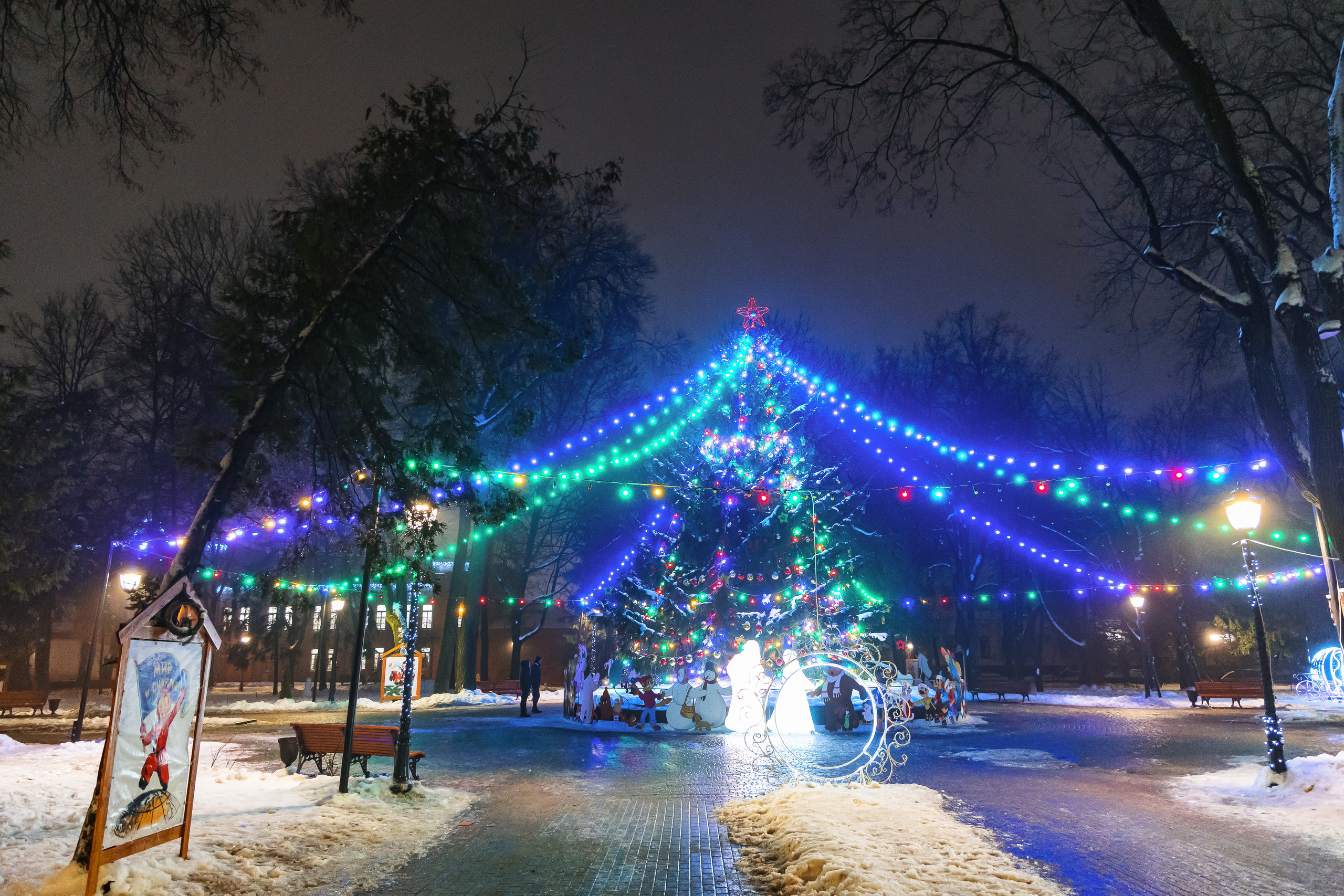 22.12.22.Брянск. Свадебный фотограф в Хабаровске