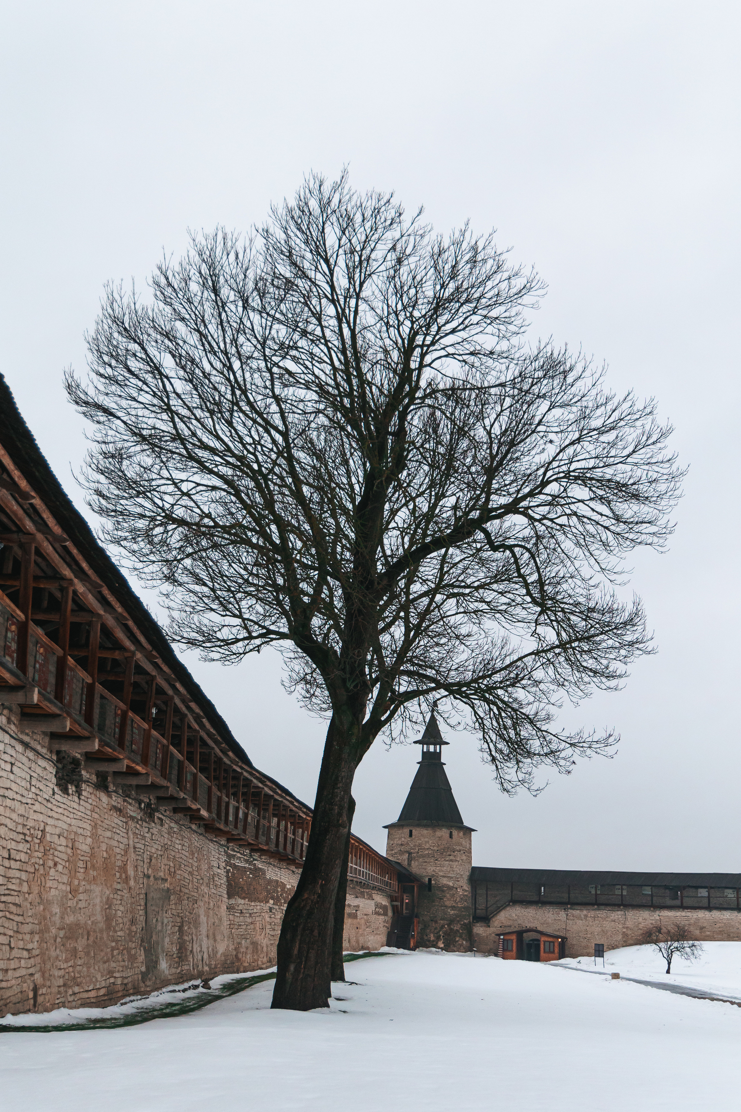 30.12.22.Псков. Свадебный фотограф в Хабаровске