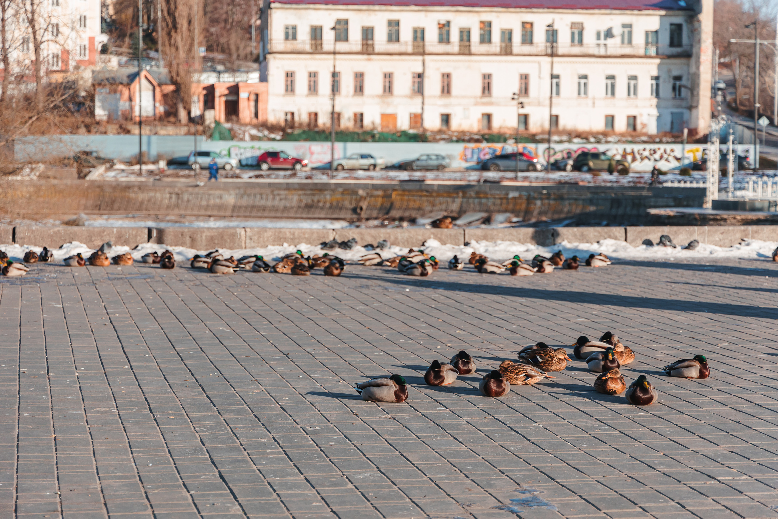 20.12.22.Липецк. Свадебный фотограф в Хабаровске