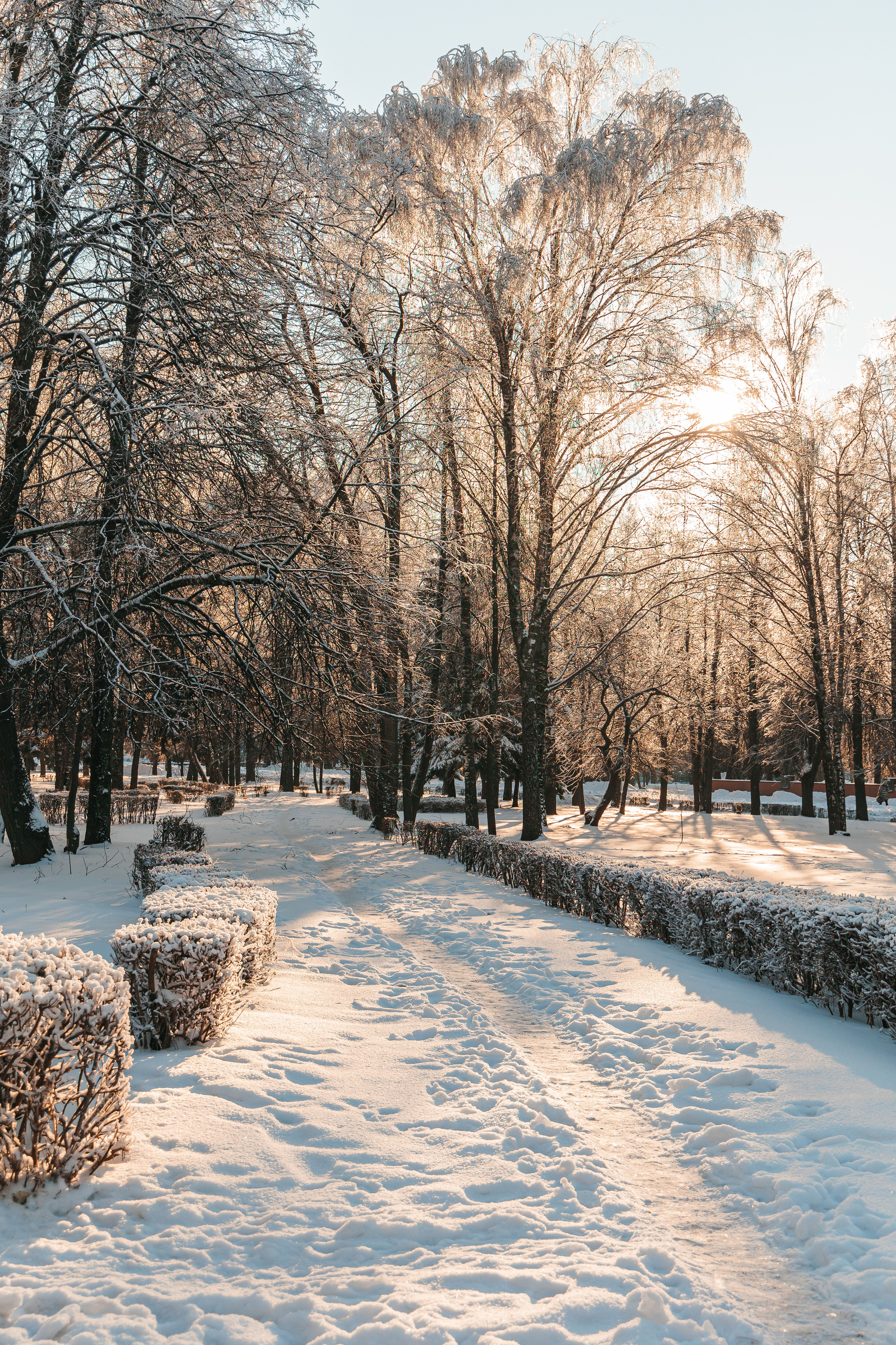 4.12.22.Чебоксары. Свадебный фотограф в Хабаровске