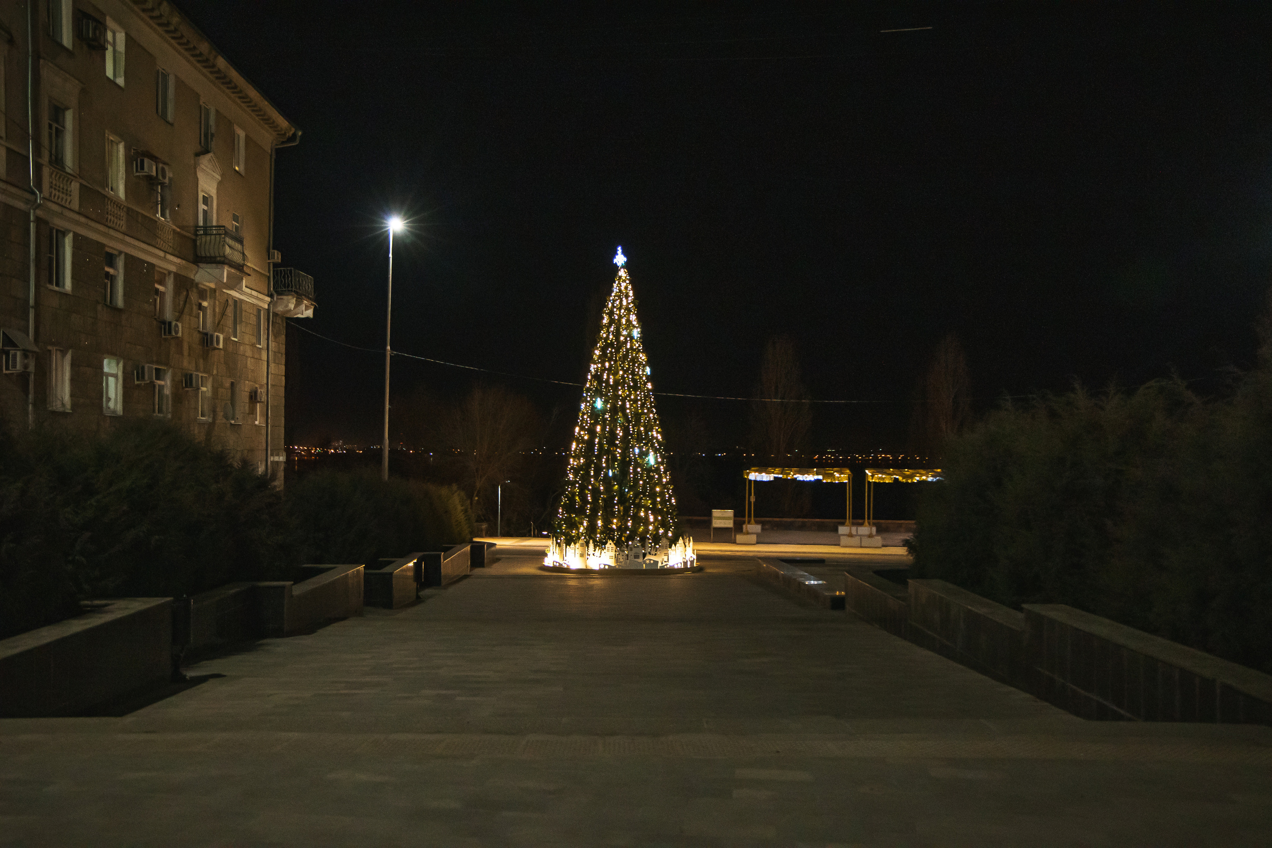 12.13.22.Саратов. Свадебный фотограф в Хабаровске