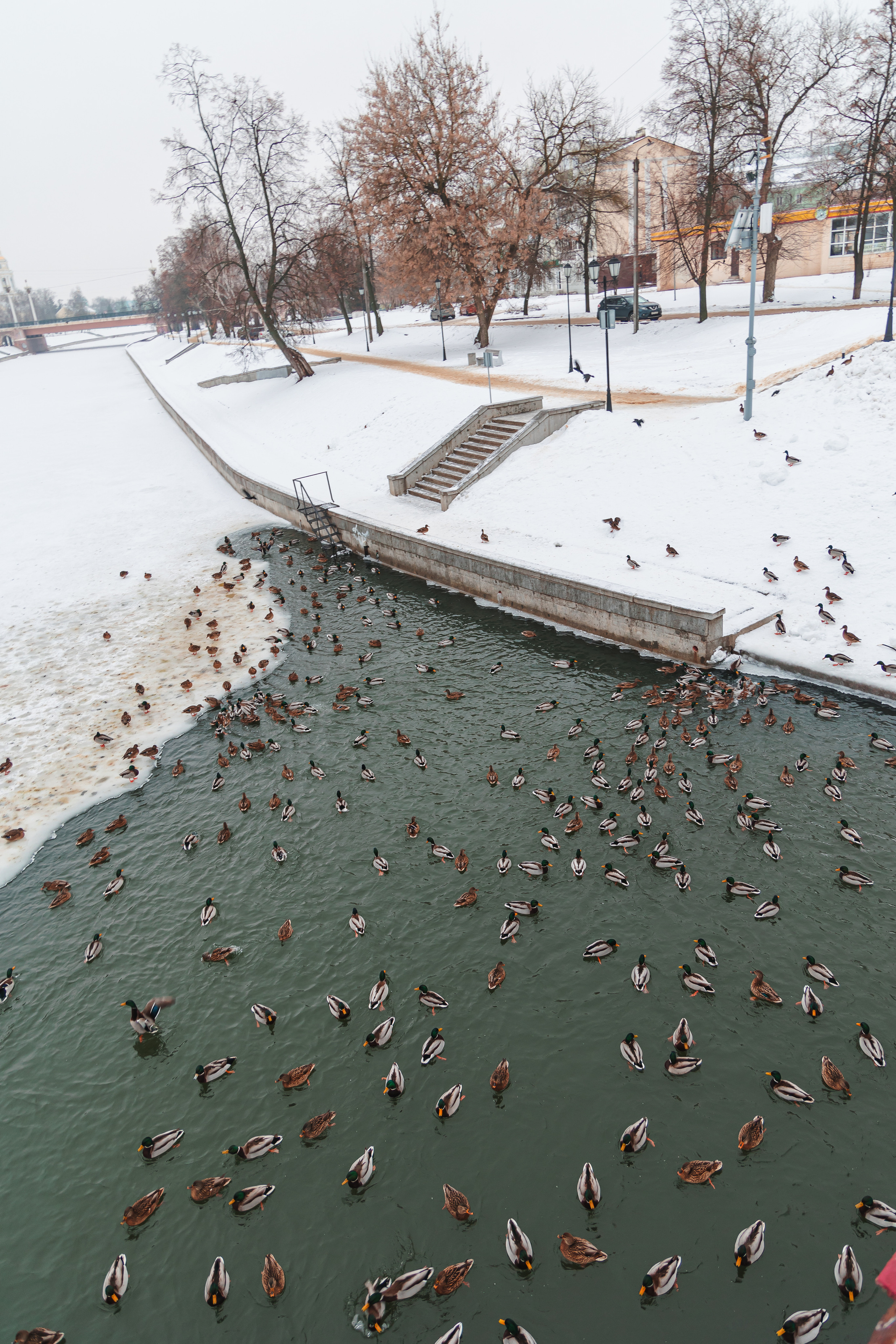 21.12.22.Орел. Свадебный фотограф в Хабаровске