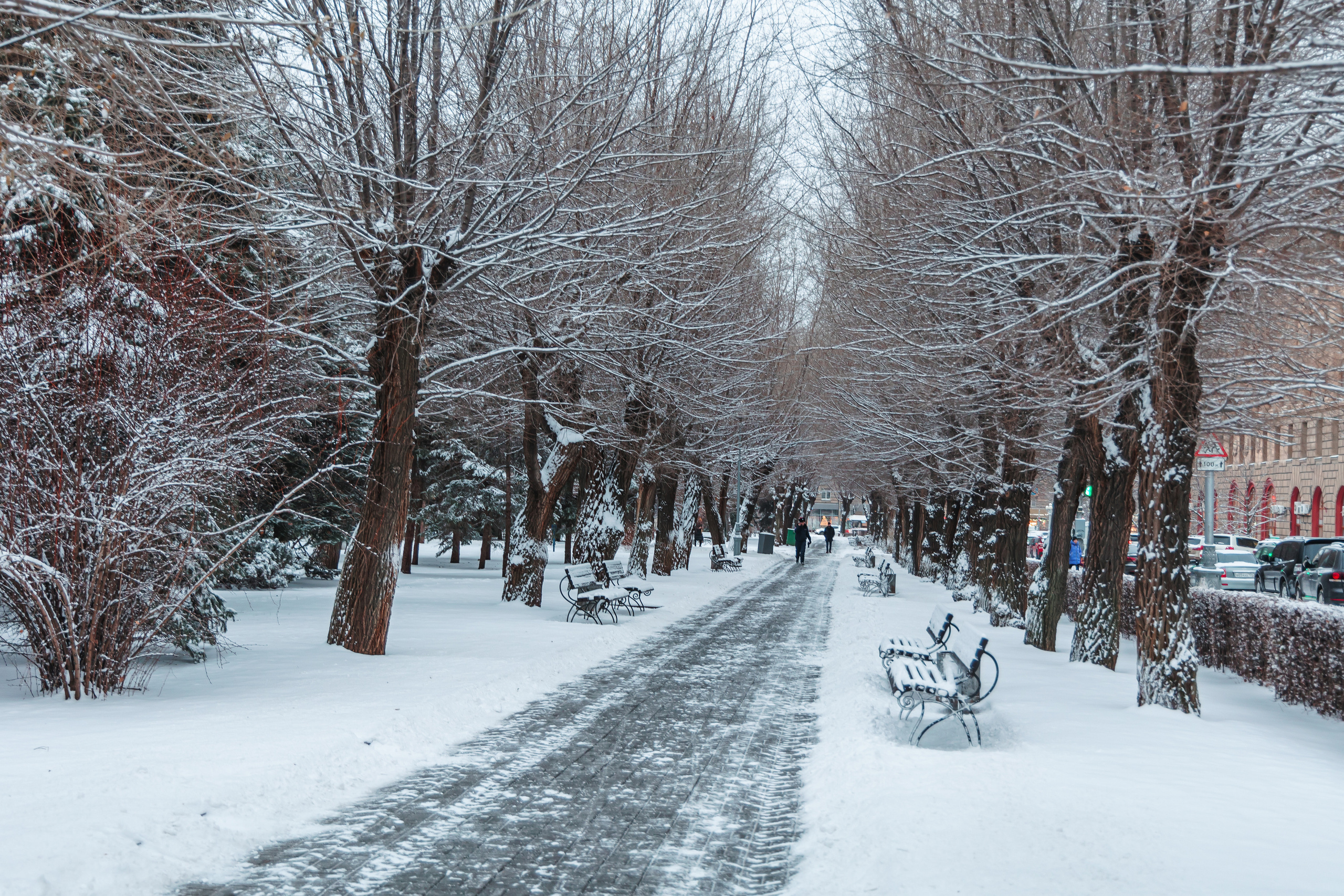 14.12.22.Волгоград. Свадебный фотограф в Хабаровске
