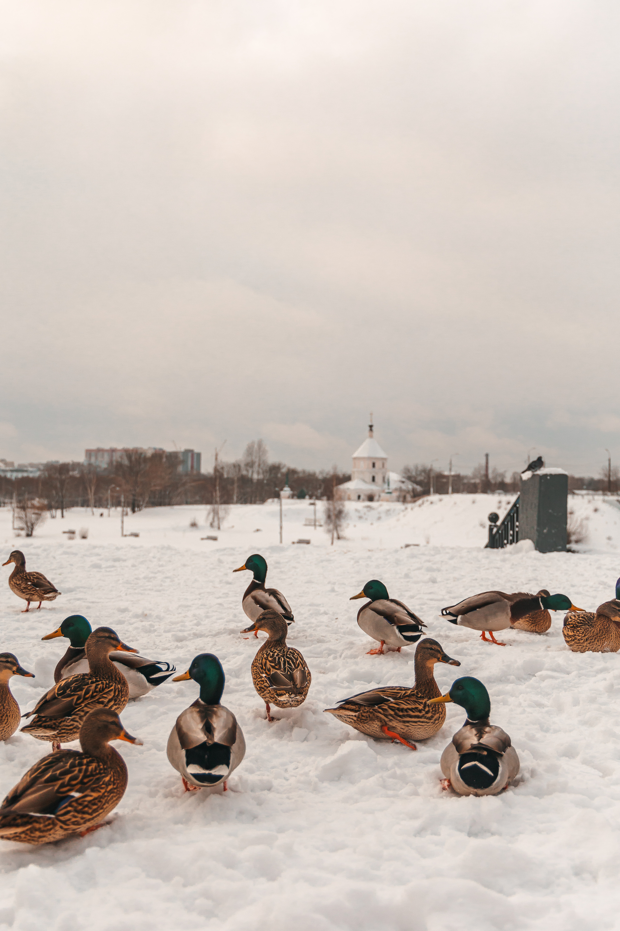 27.12.22.Тверь. Свадебный фотограф в Хабаровске