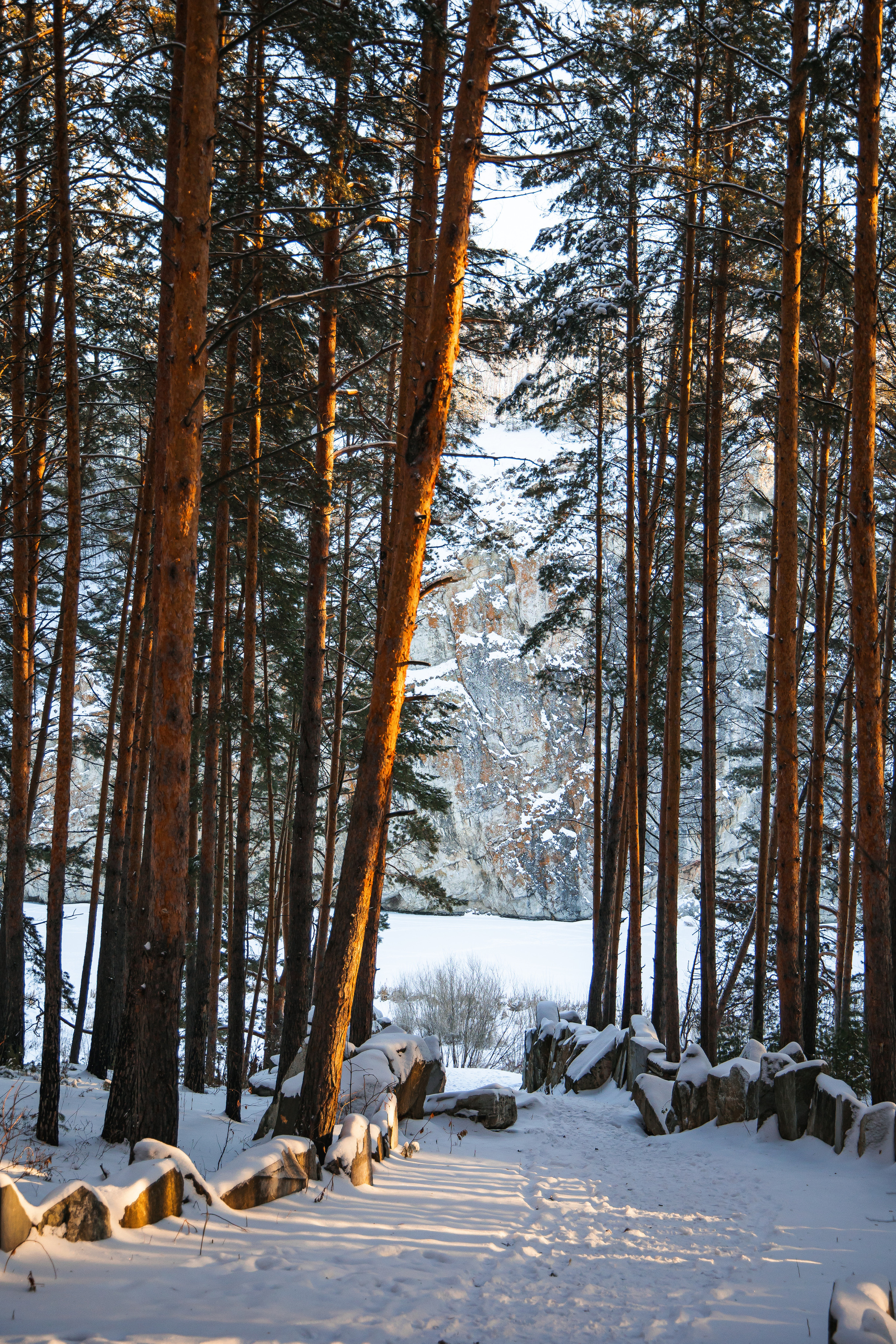 29.11.22.Каменск-Уральский. Свадебный фотограф в Хабаровске