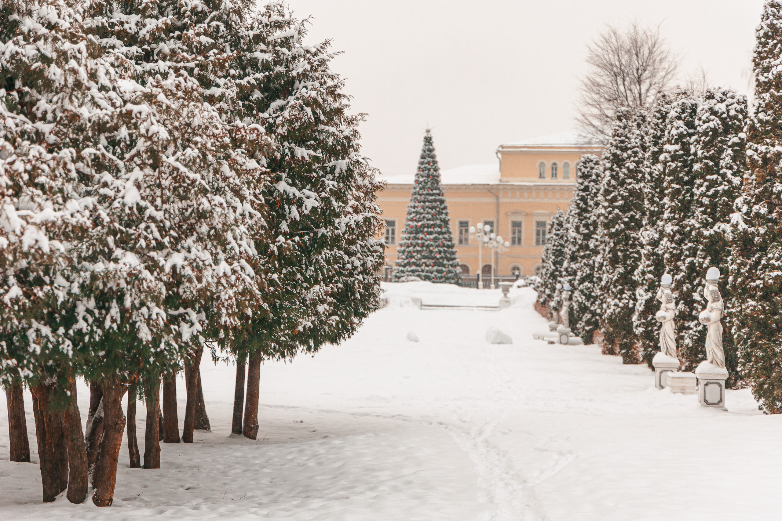 27.12.22.Тверь. Свадебный фотограф в Хабаровске