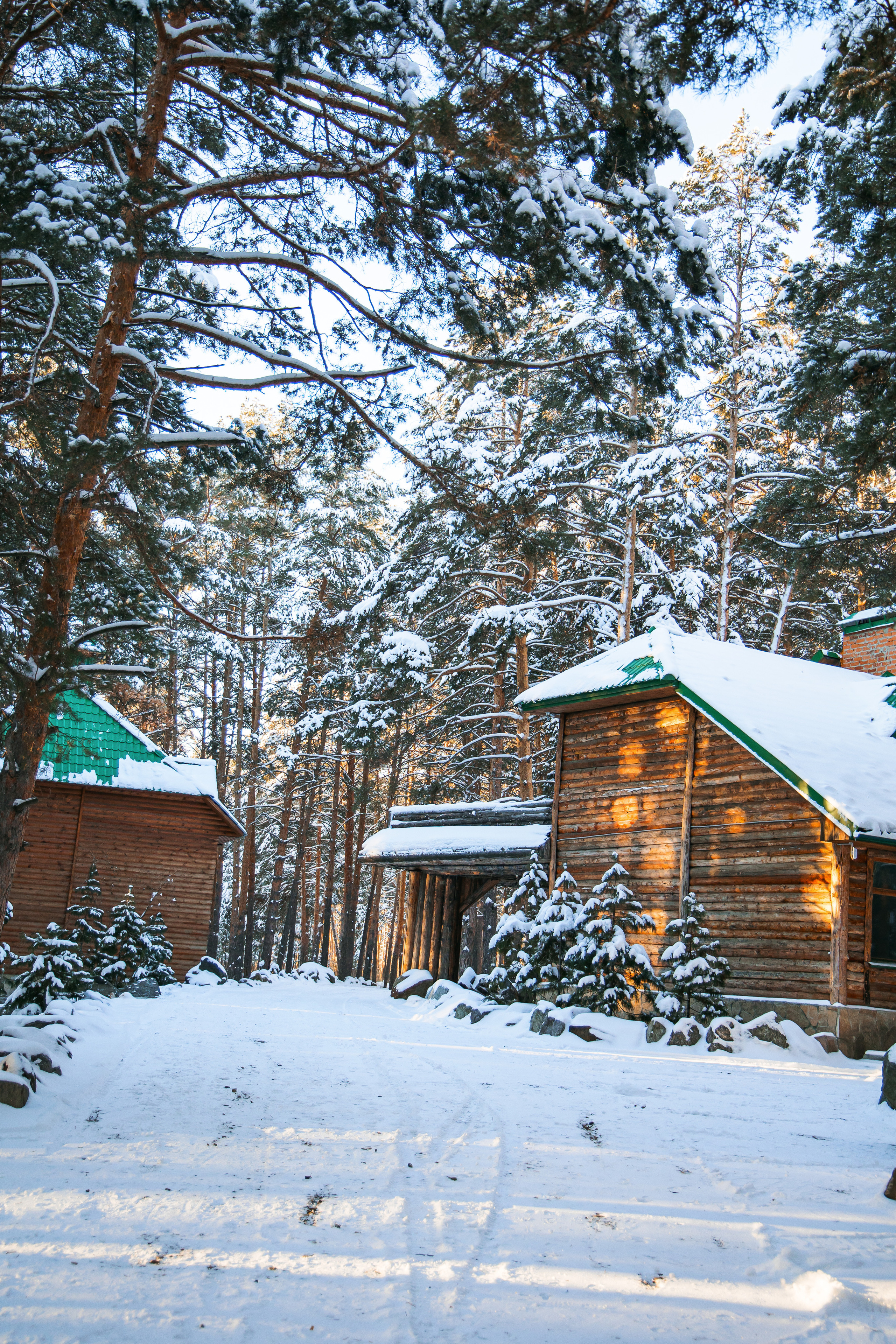 29.11.22.Каменск-Уральский. Свадебный фотограф в Хабаровске