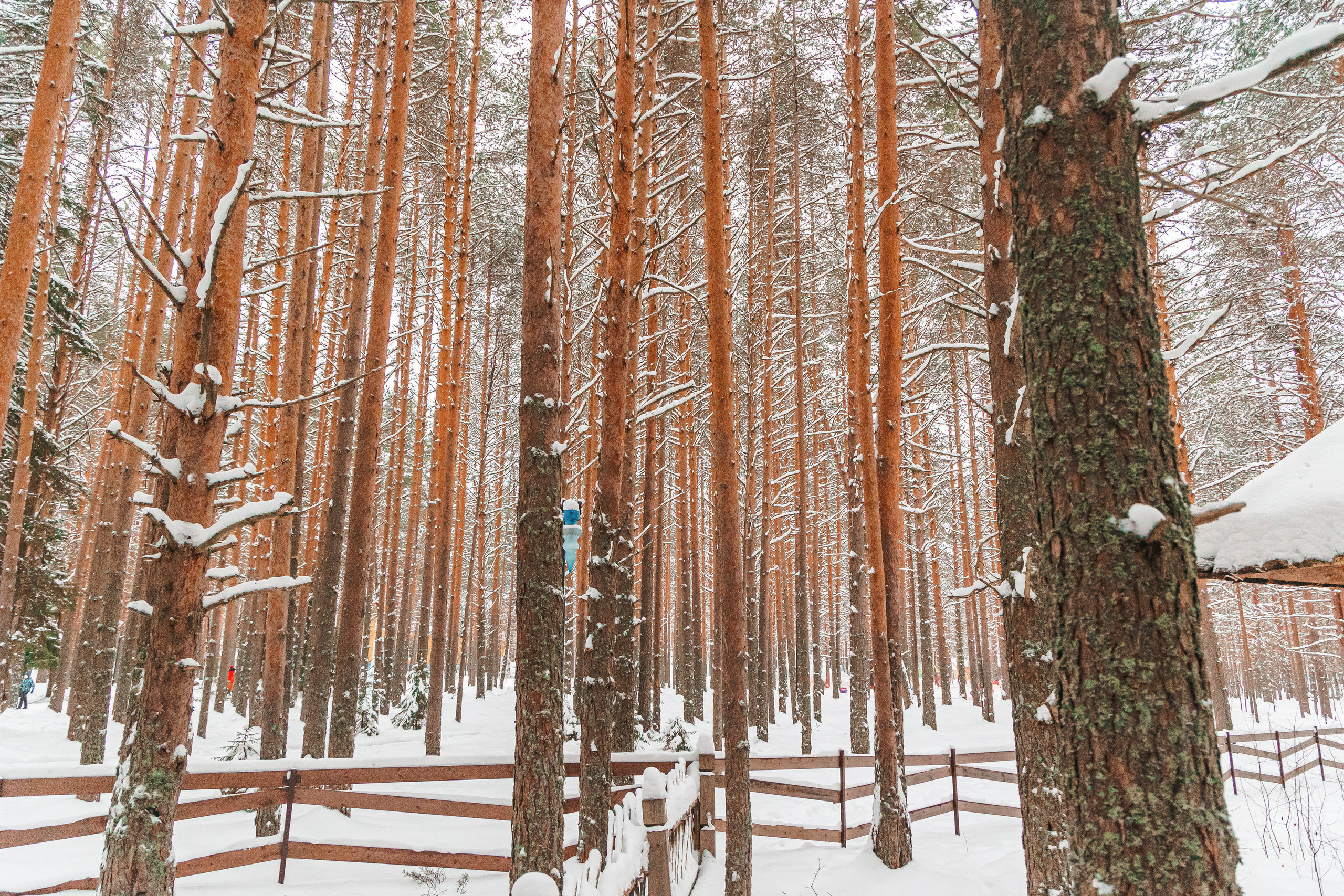 14.1.23.Великий Устюг. Свадебный фотограф в Хабаровске