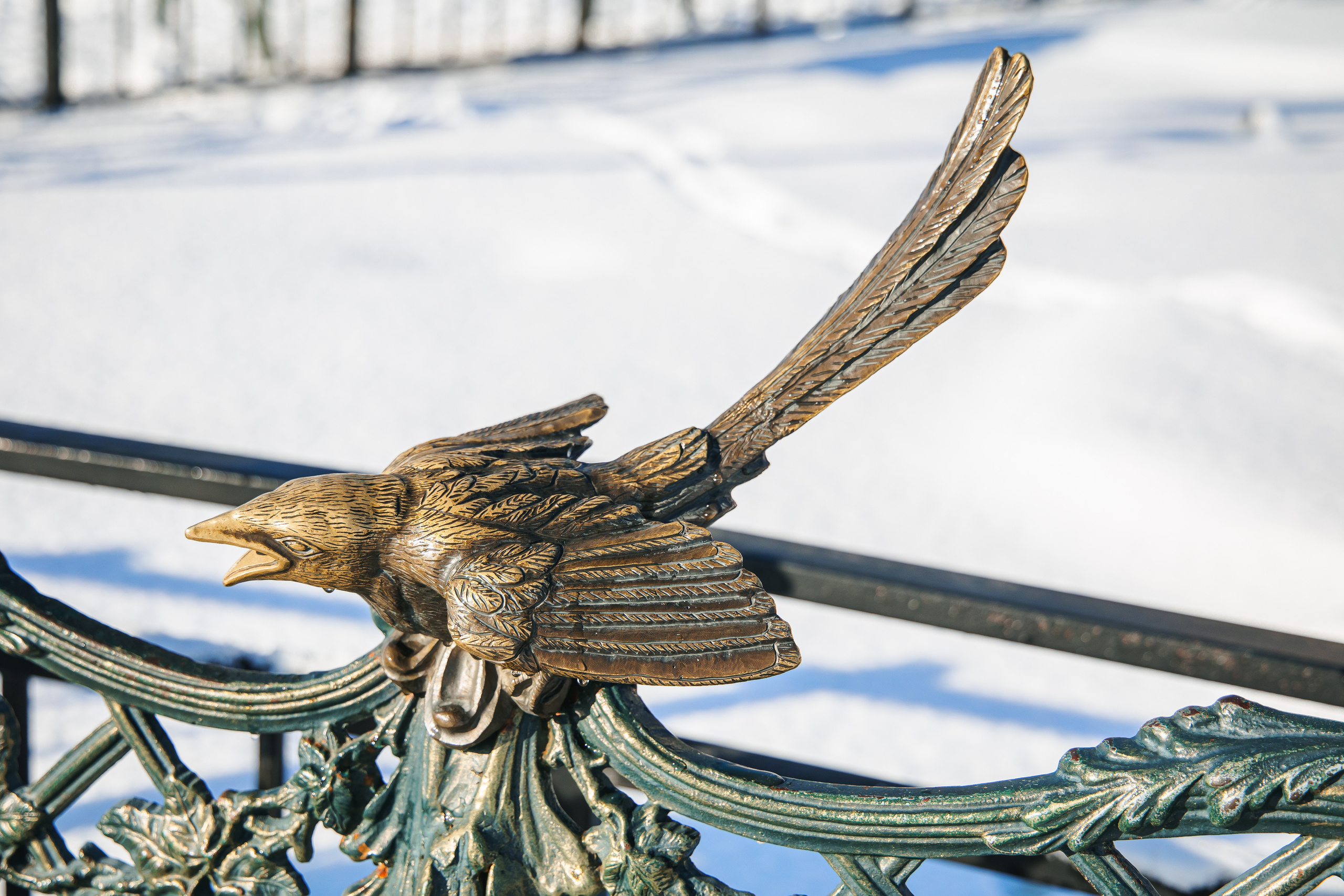 12.11.22.Благовещенск. Свадебный фотограф в Хабаровске