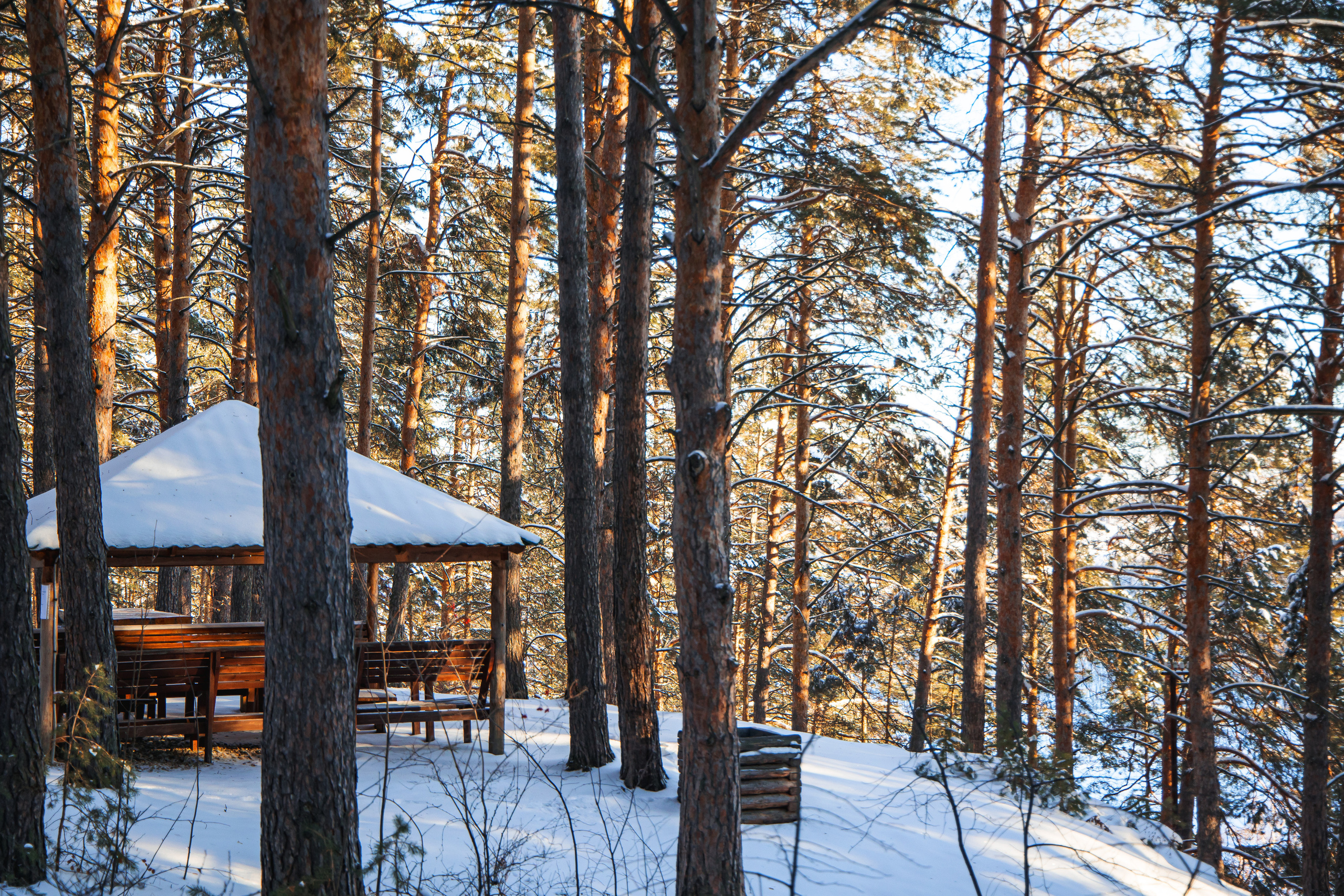 29.11.22.Каменск-Уральский. Свадебный фотограф в Хабаровске