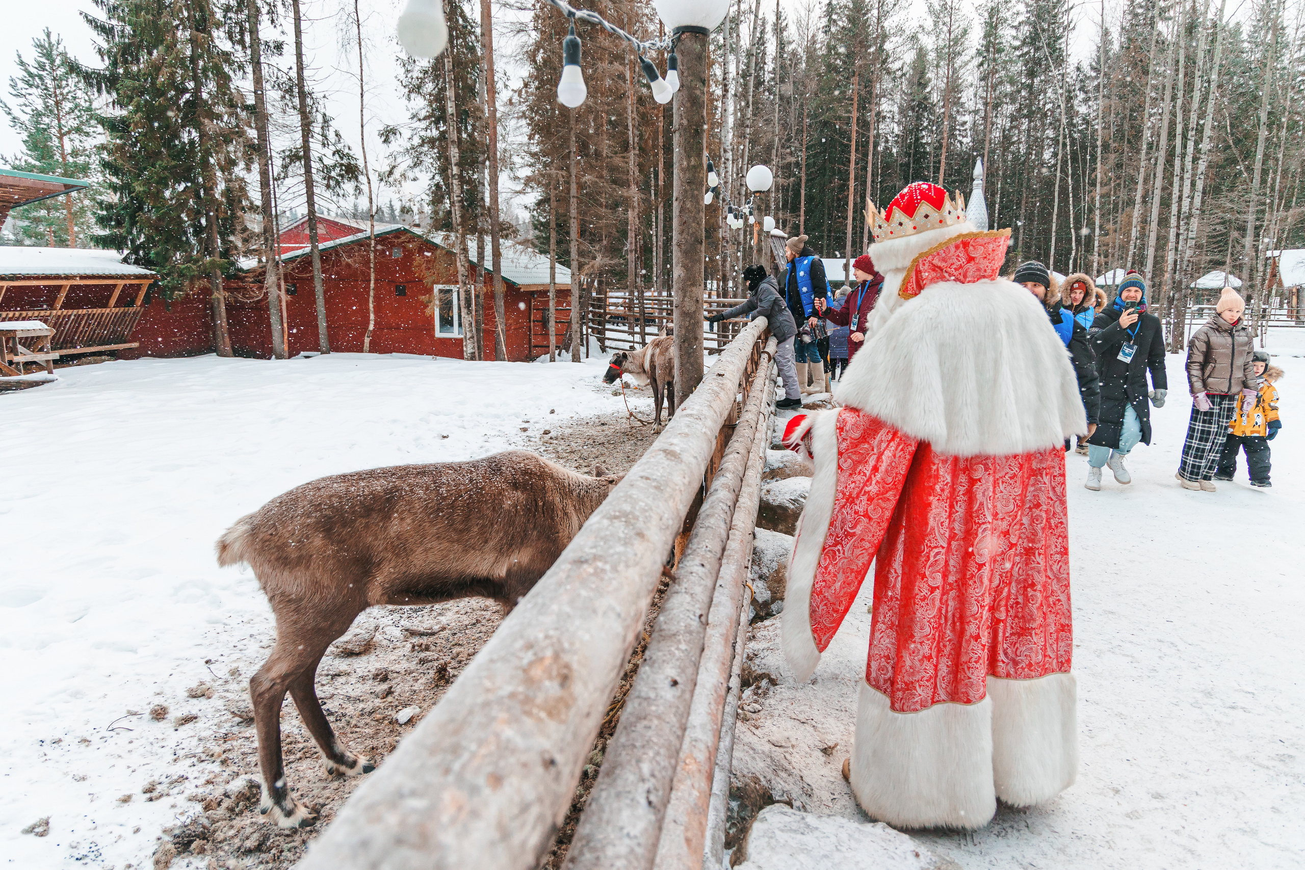 Встреча Деда Мороза и Лапландского Талвиукко.Резиденция Талвиукко. Свадебный фотограф в Хабаровске