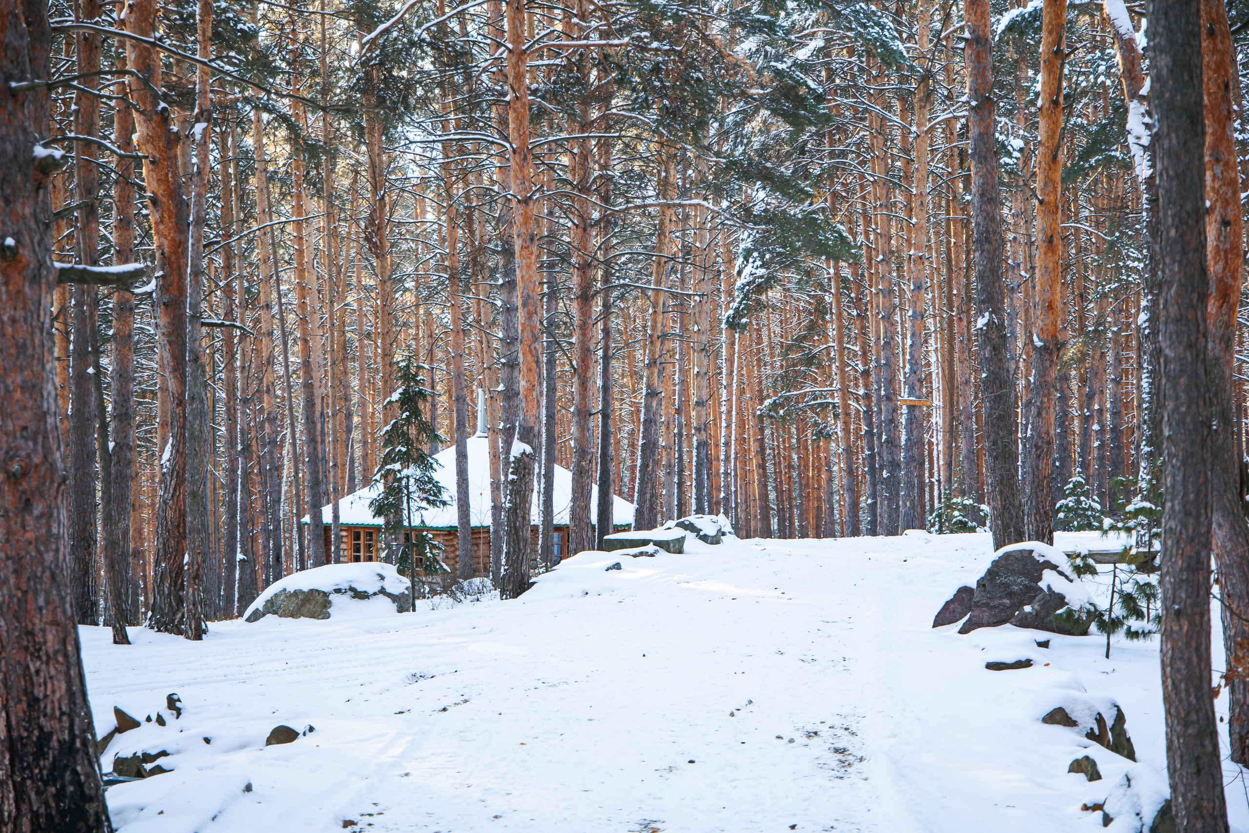 29.11.22.Каменск-Уральский. Свадебный фотограф в Хабаровске