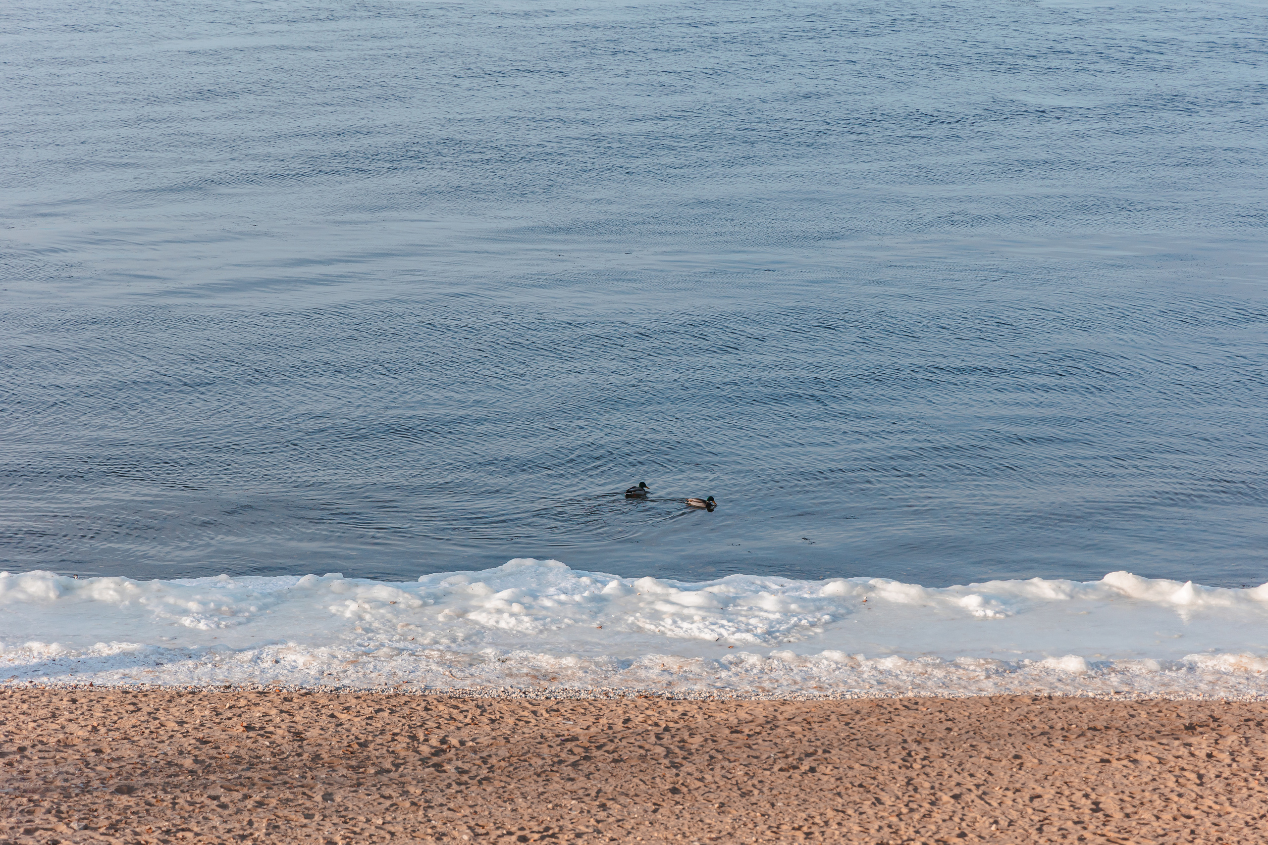 10.12.22.Самара. Свадебный фотограф в Хабаровске