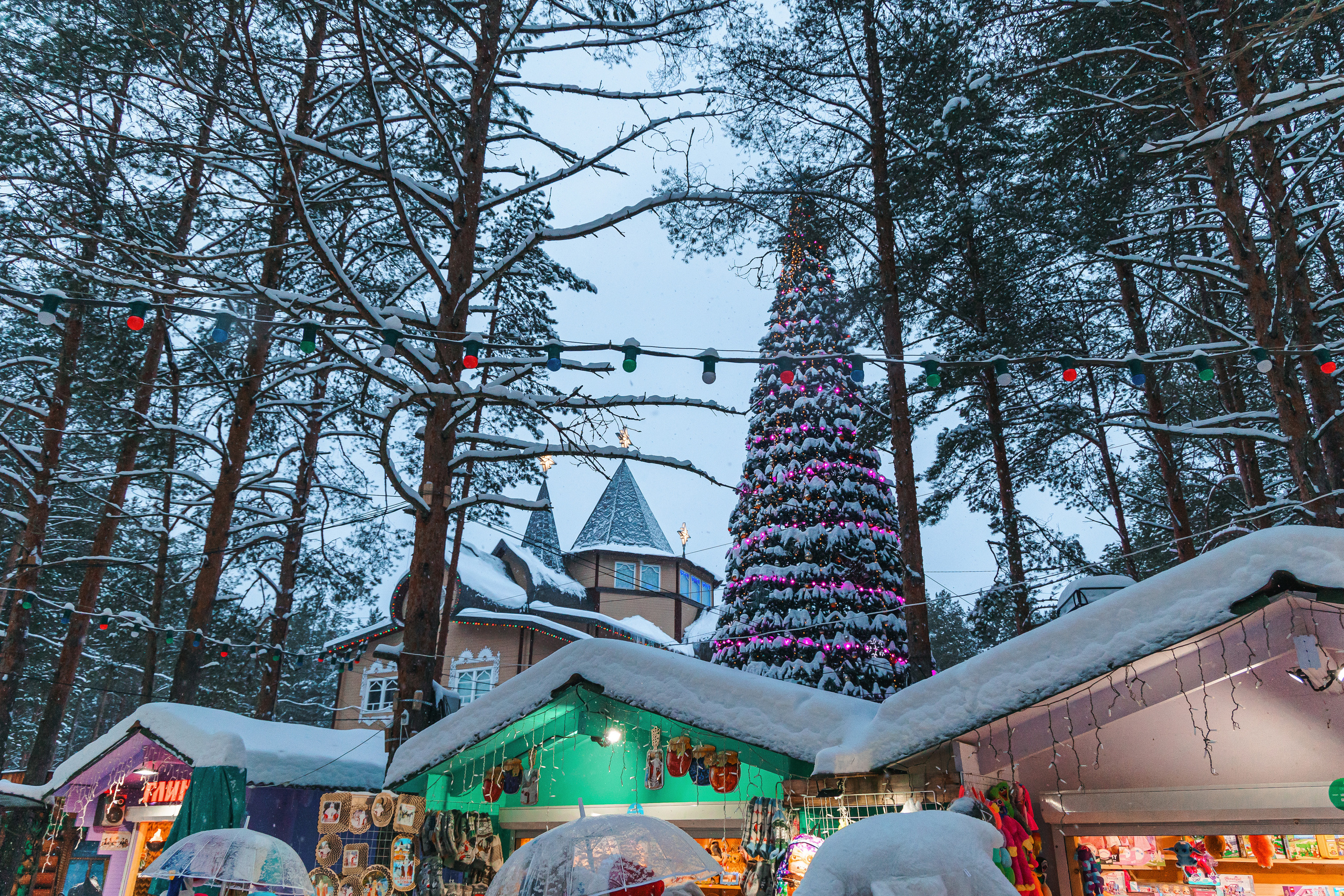 14.1.23.Великий Устюг. Свадебный фотограф в Хабаровске