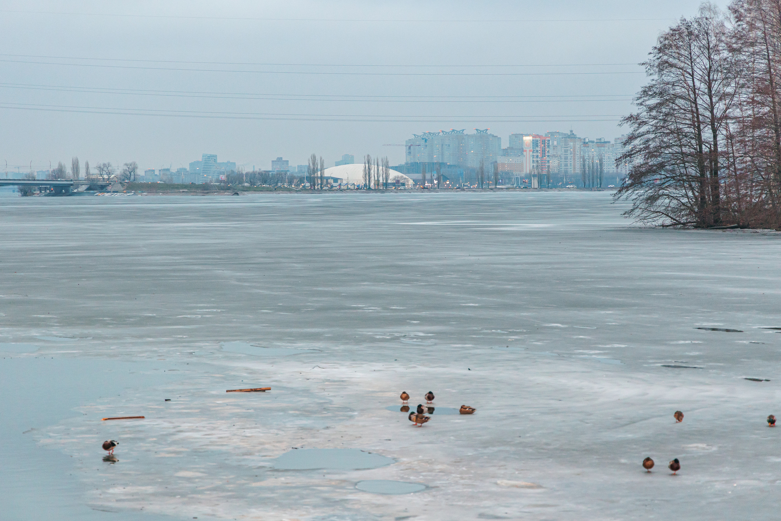 18.12.22.Воронеж. Свадебный фотограф в Хабаровске