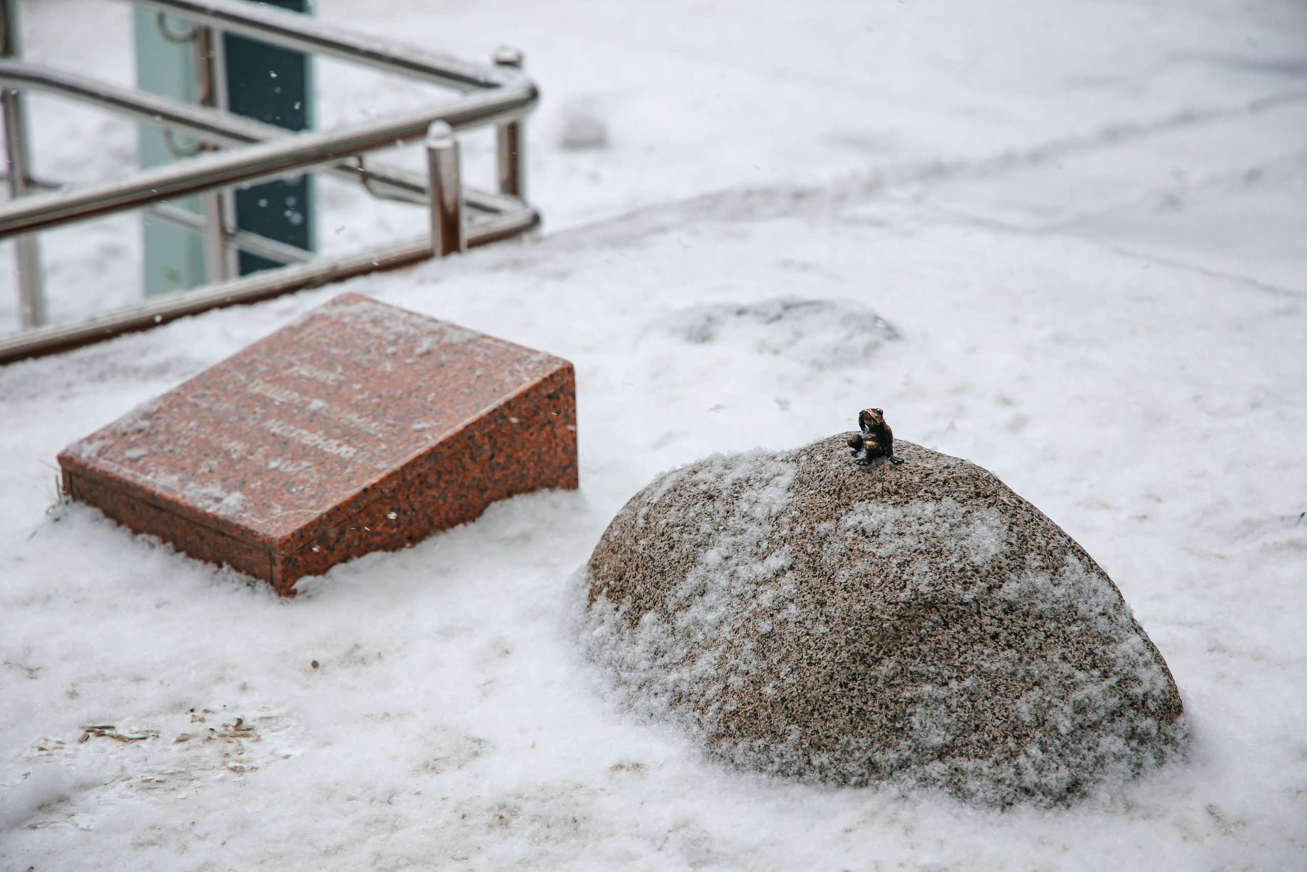 22.11.22.Томск. Свадебный фотограф в Хабаровске