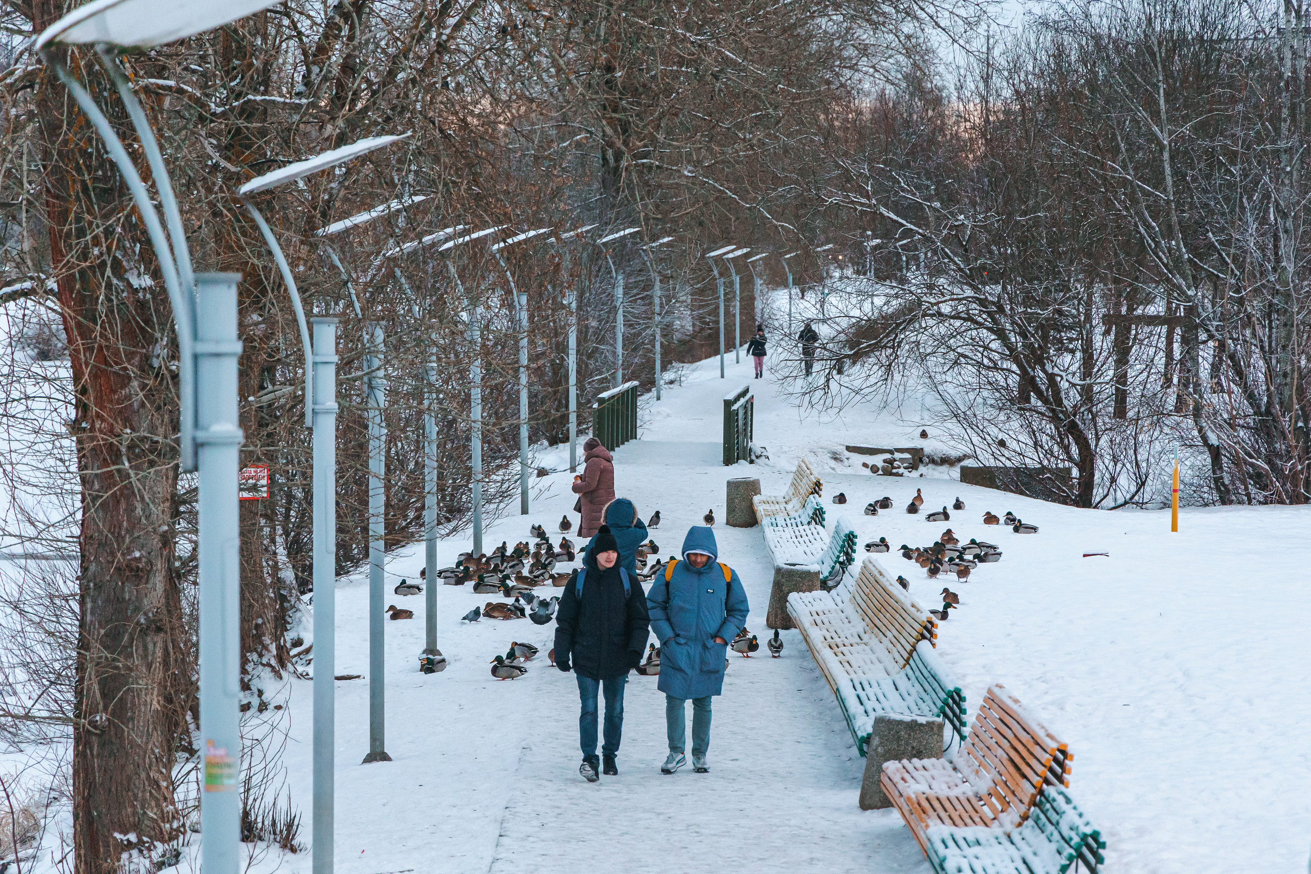 8.1.23.Тихвин. Свадебный фотограф в Хабаровске