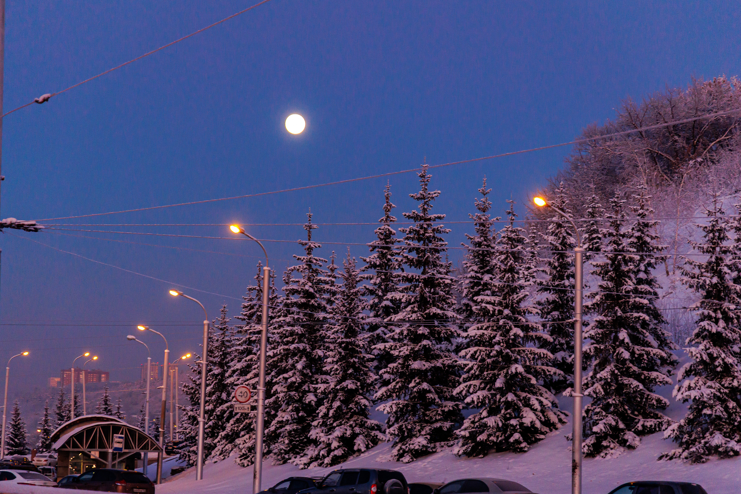 7.12.22.Уфа. Свадебный фотограф в Хабаровске