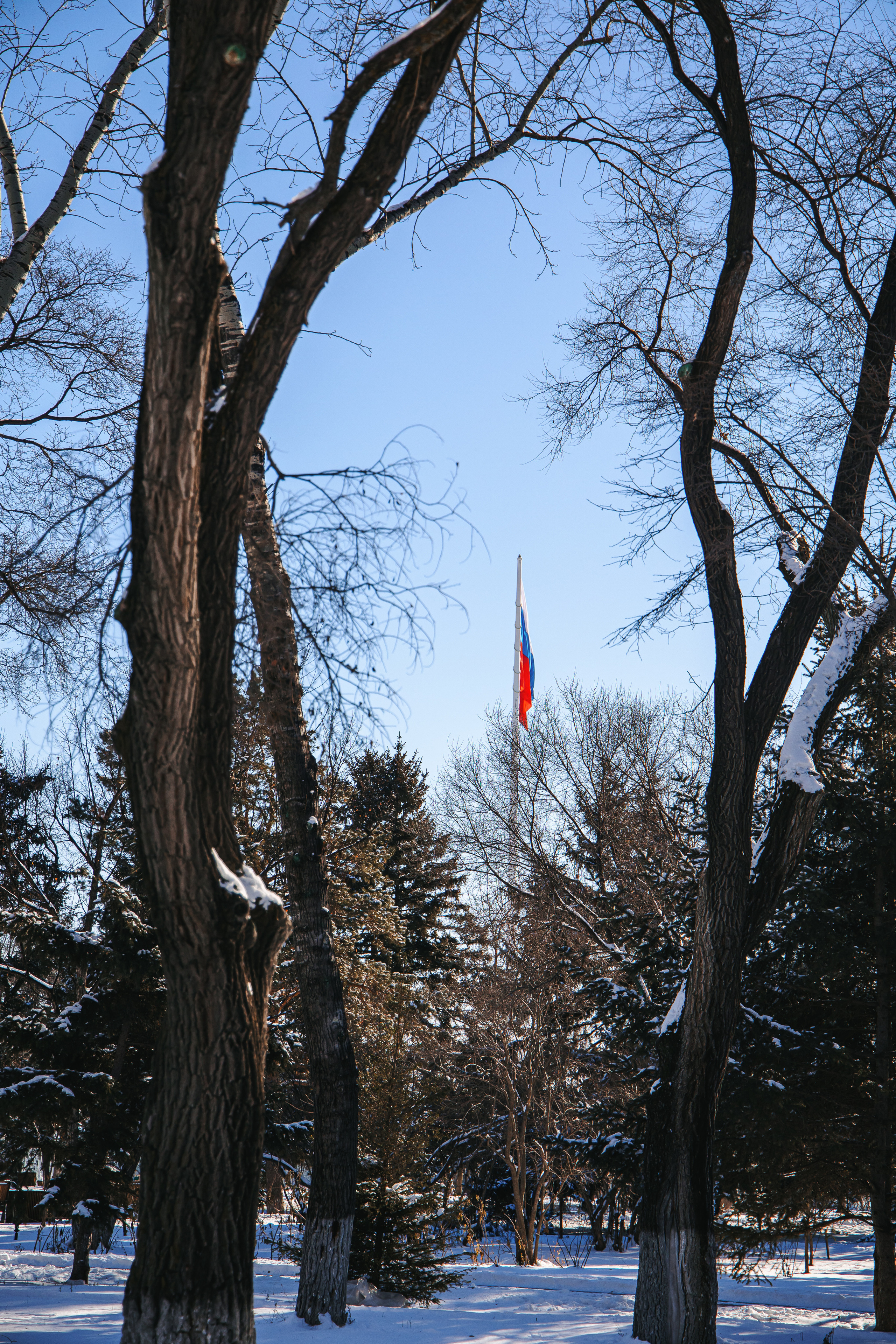 12.11.22.Благовещенск. Свадебный фотограф в Хабаровске