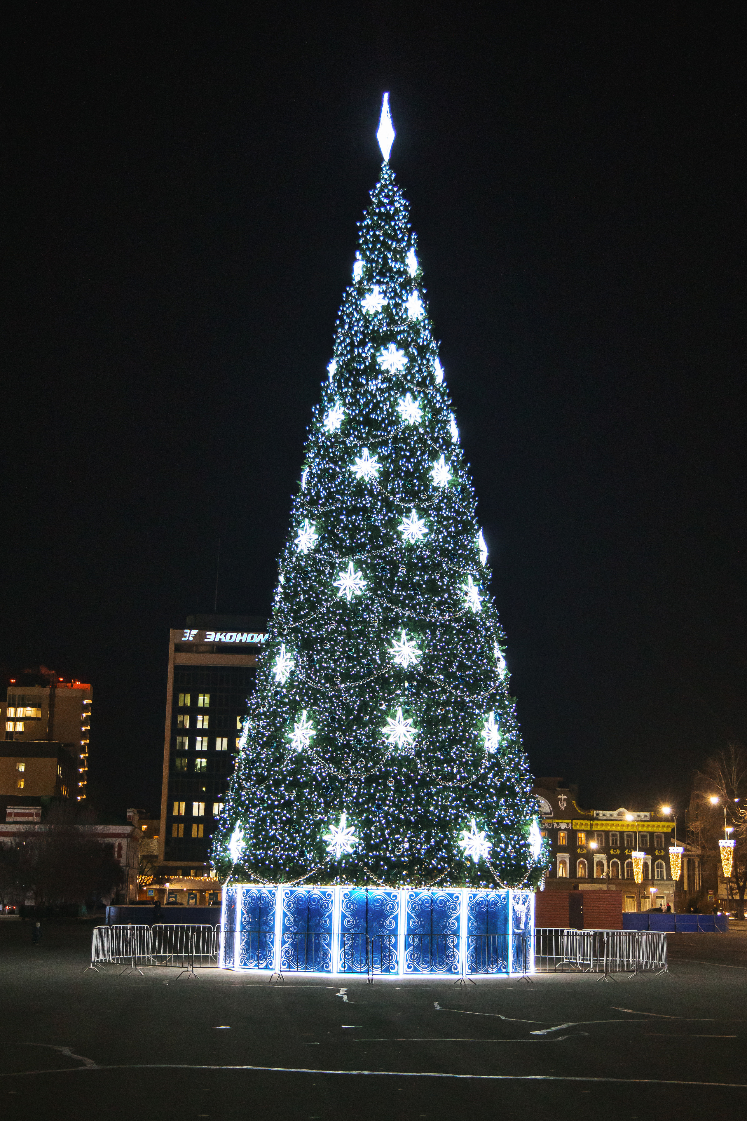 12.13.22.Саратов. Свадебный фотограф в Хабаровске