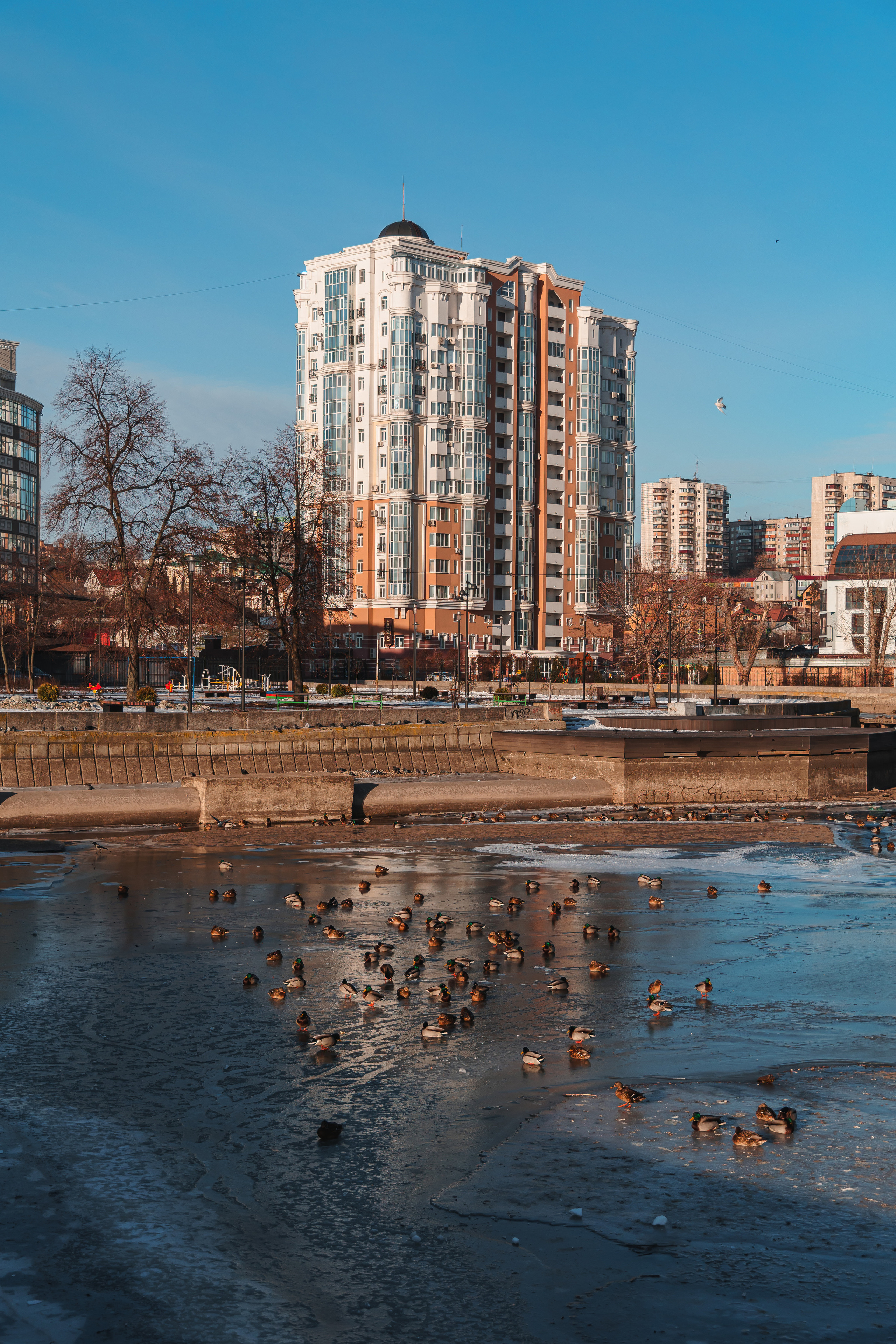 20.12.22.Липецк. Свадебный фотограф в Хабаровске