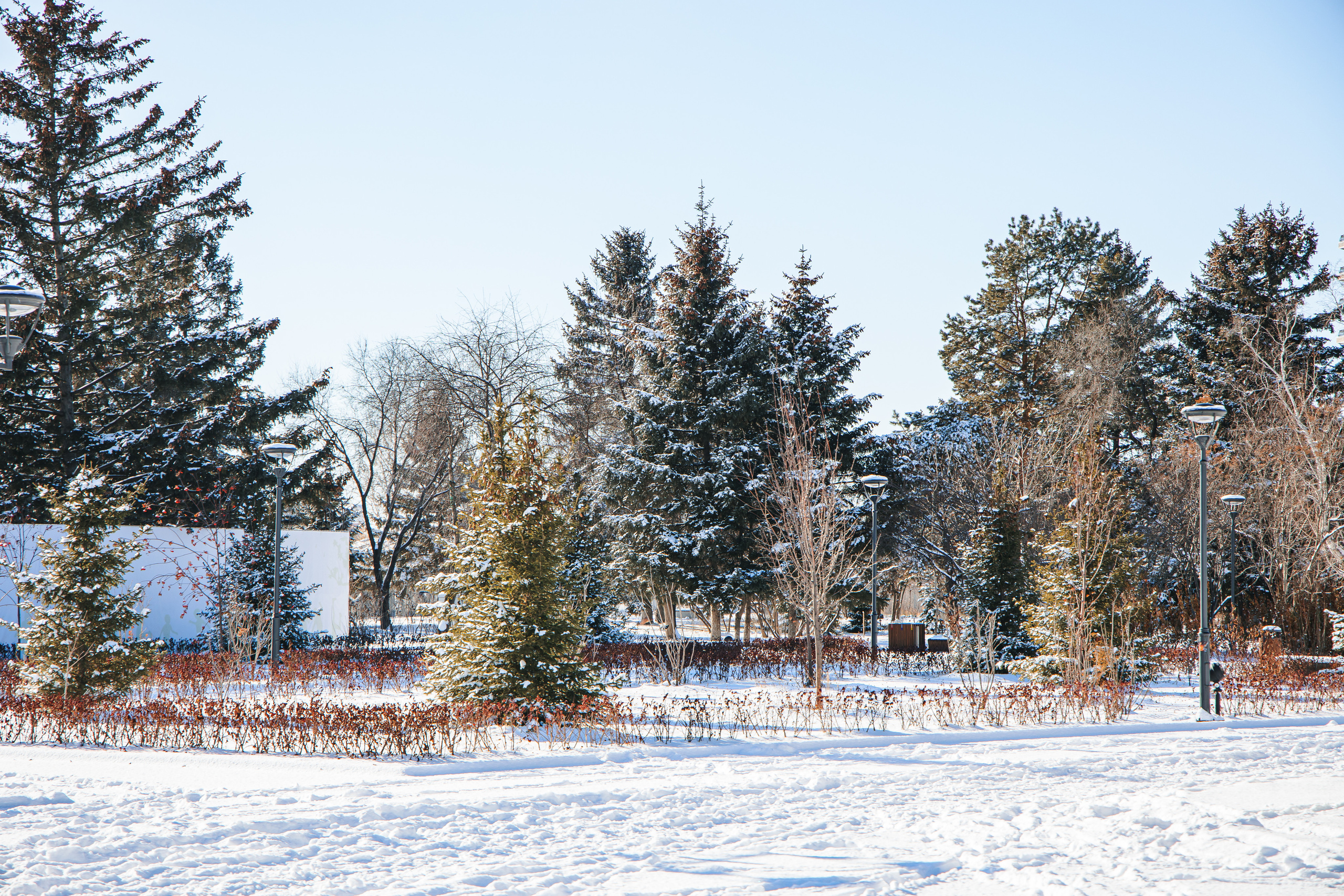 12.11.22.Благовещенск. Свадебный фотограф в Хабаровске
