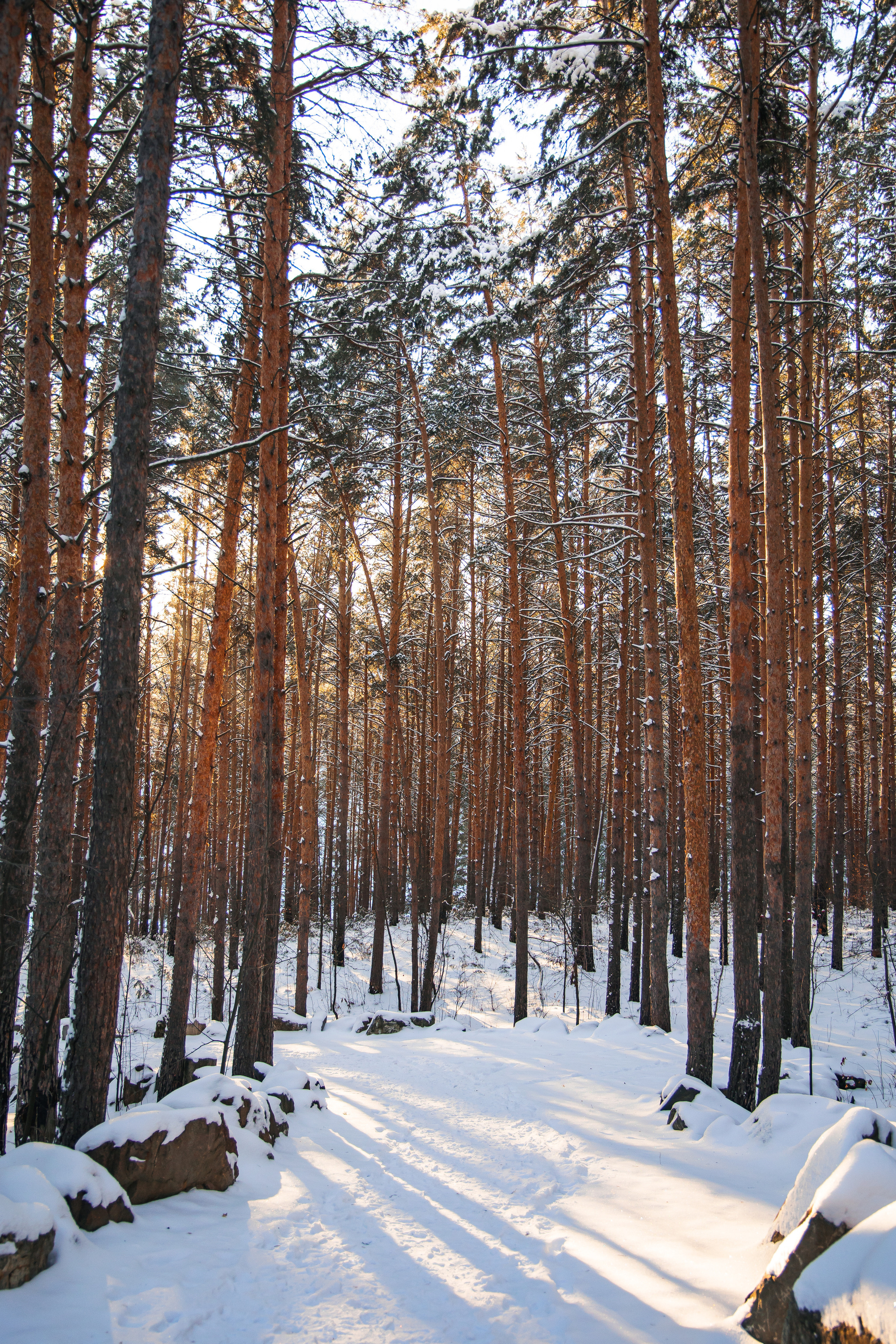 29.11.22.Каменск-Уральский. Свадебный фотограф в Хабаровске