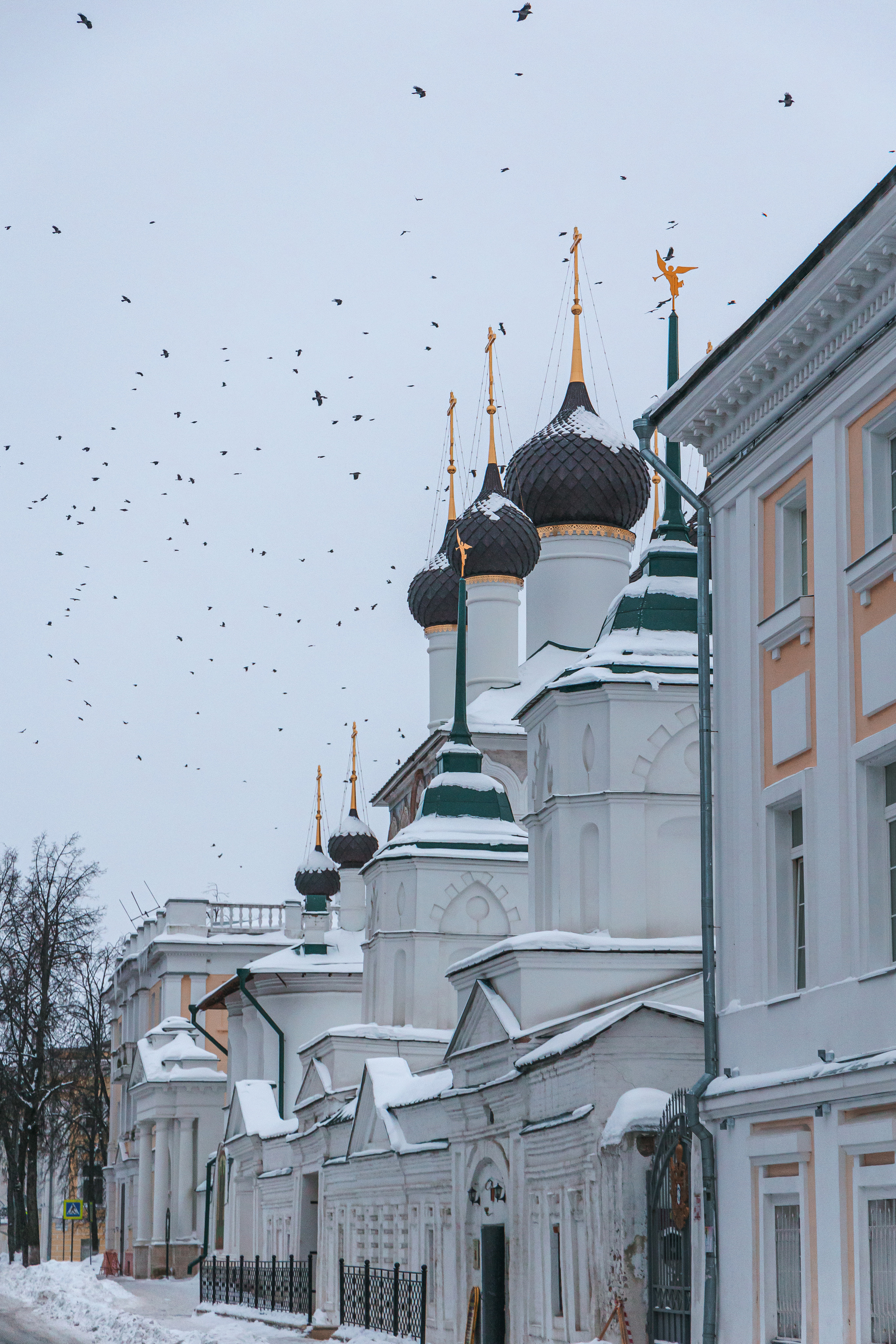 11.1.23.Ярославль. Свадебный фотограф в Хабаровске