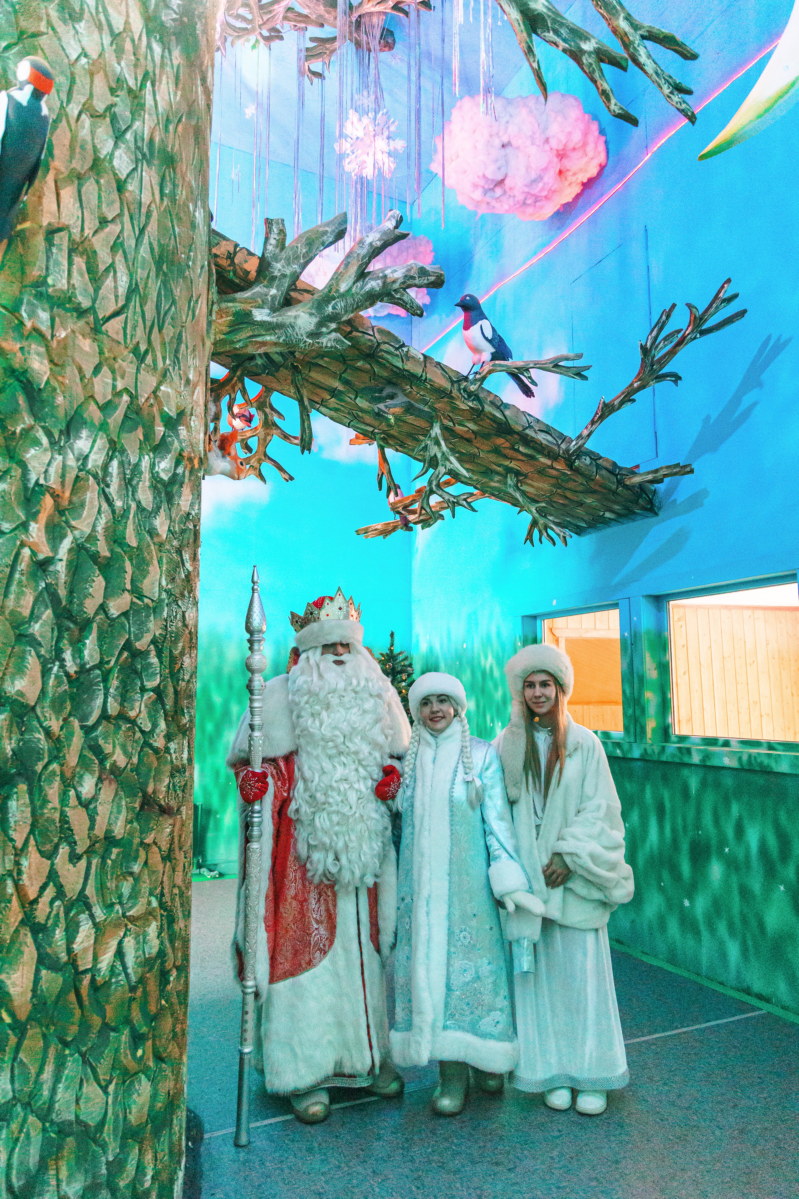 Встреча Деда Мороза и Лапландского Талвиукко.Резиденция Талвиукко. Свадебный фотограф в Хабаровске