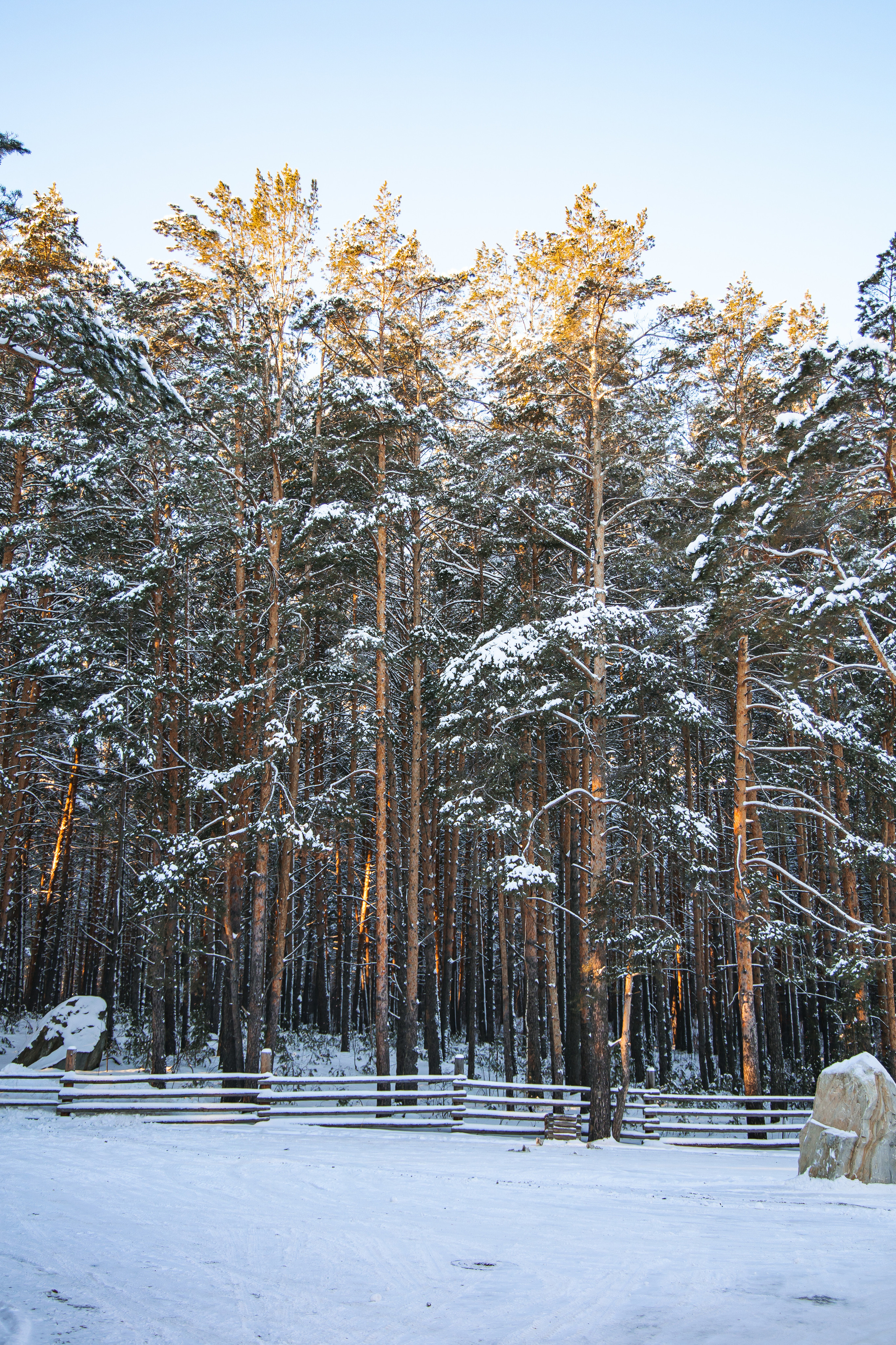 29.11.22.Каменск-Уральский. Свадебный фотограф в Хабаровске
